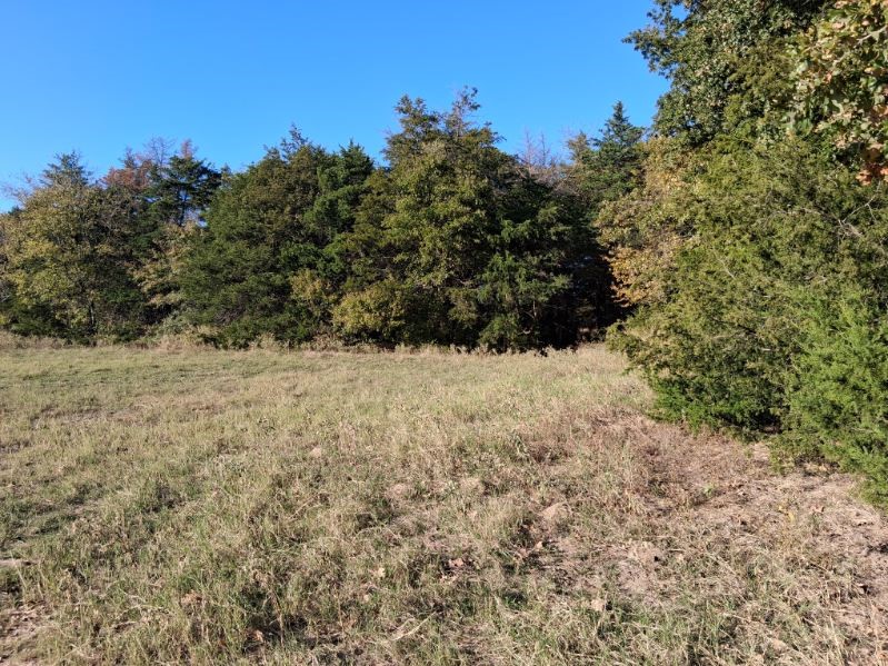 1071 Cr 2205 Ivanhoe TX 75447