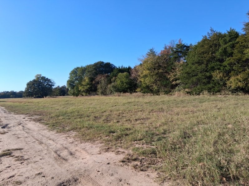1071 Cr 2205 Ivanhoe TX 75447