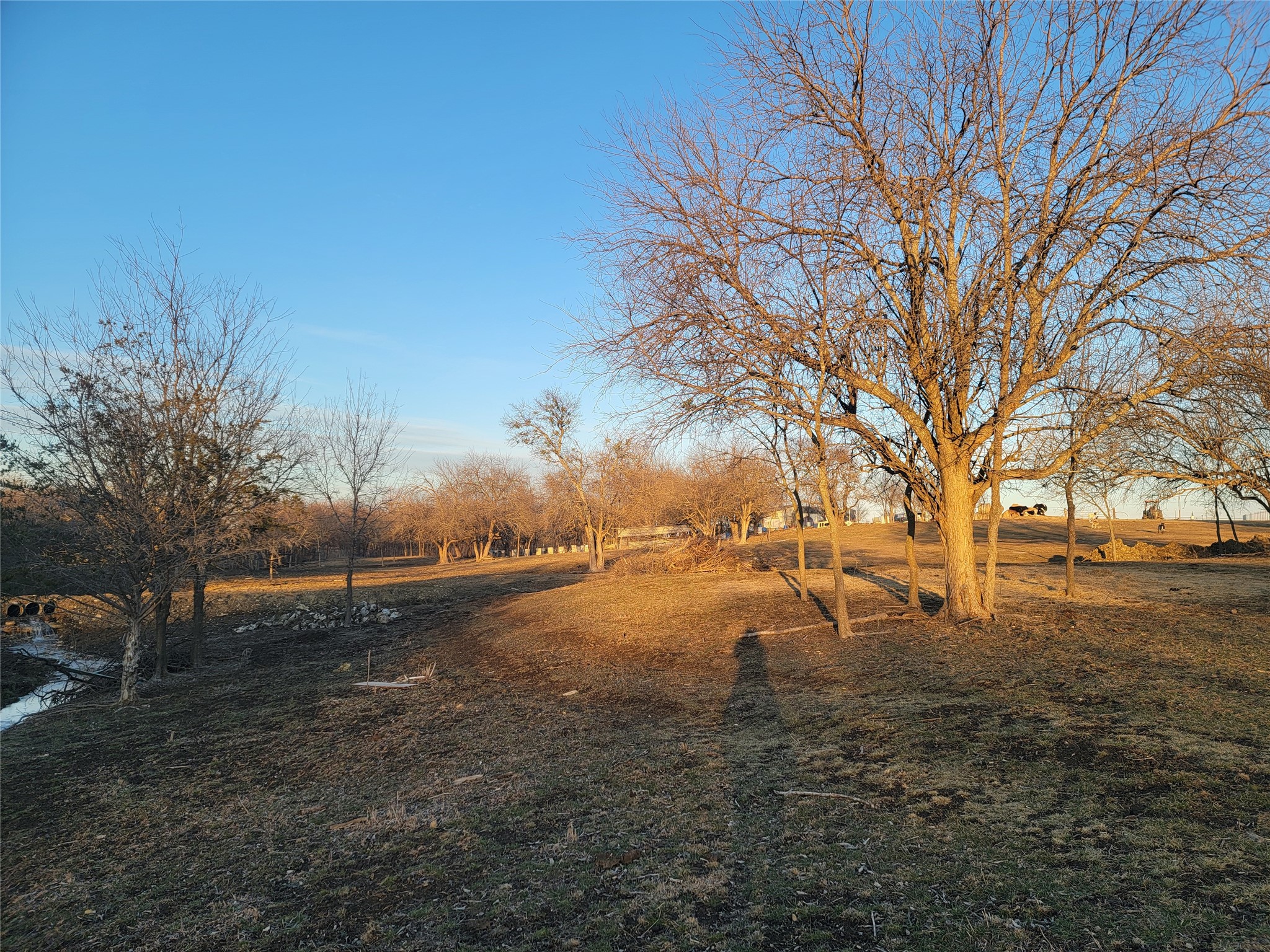 7145 County Road 1009 Road Godley TX 76044