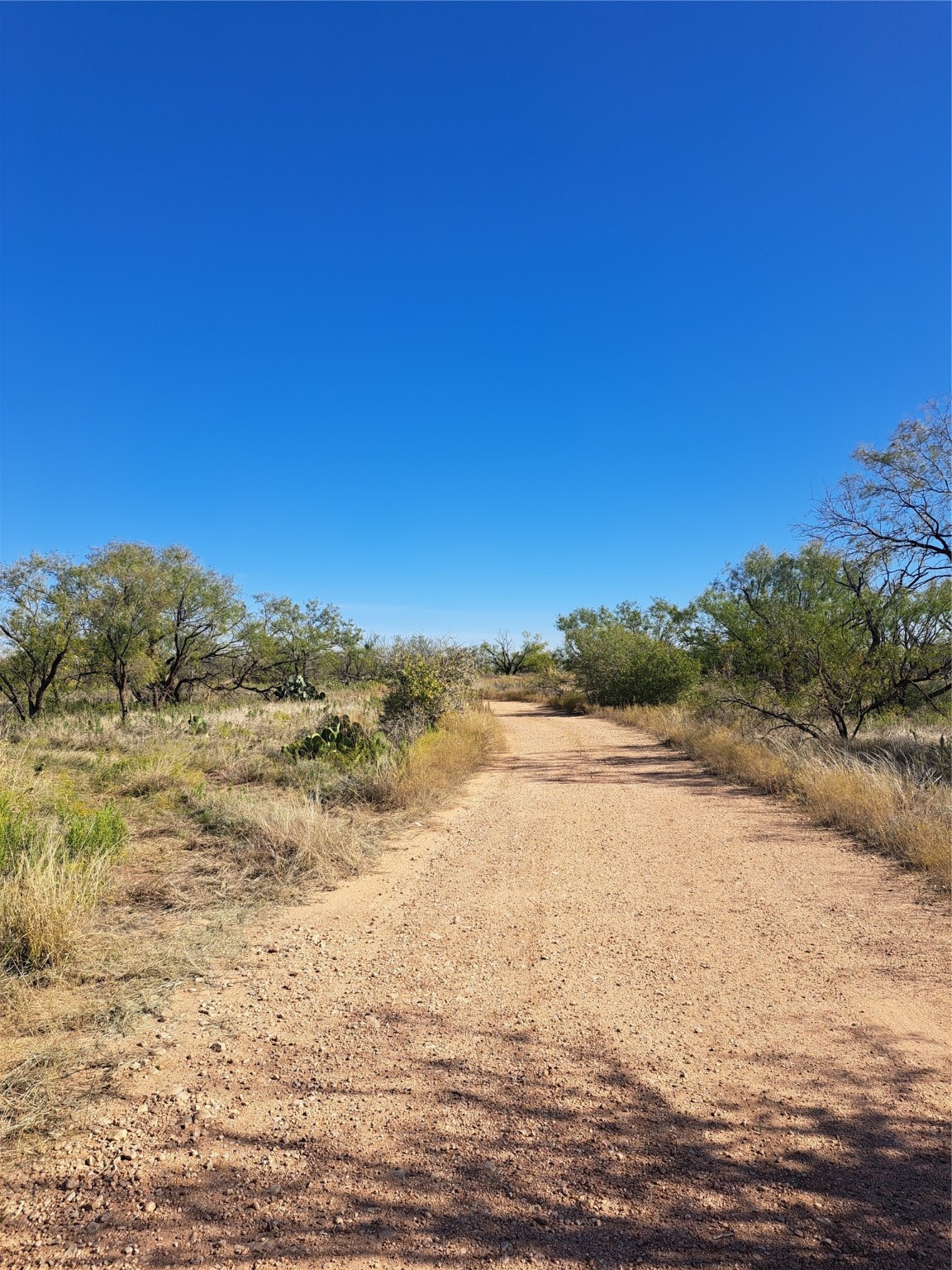 Tbd 140.60 Acres Merkel TX 79536