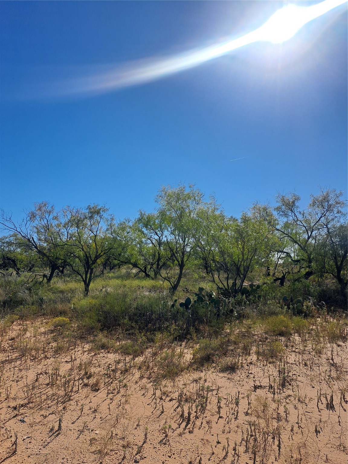 Tbd 140.60 Acres Merkel TX 79536