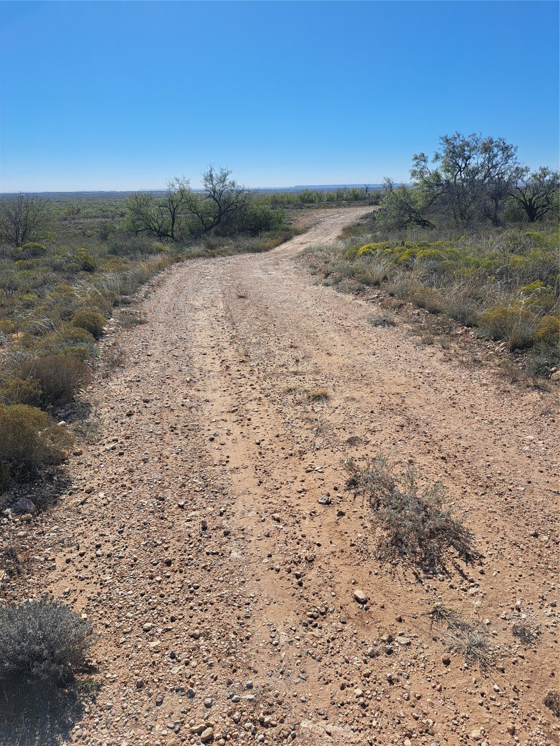 Tbd 140.60 Acres Merkel TX 79536