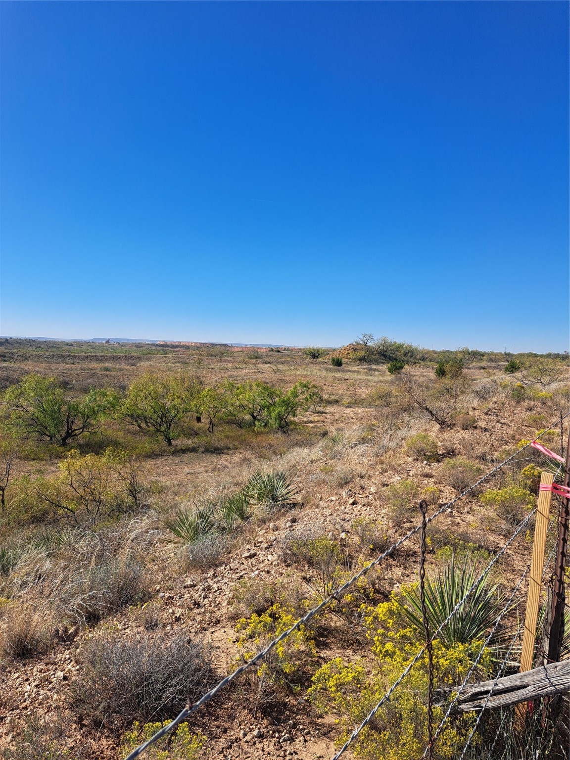 Tbd 140.60 Acres Merkel TX 79536