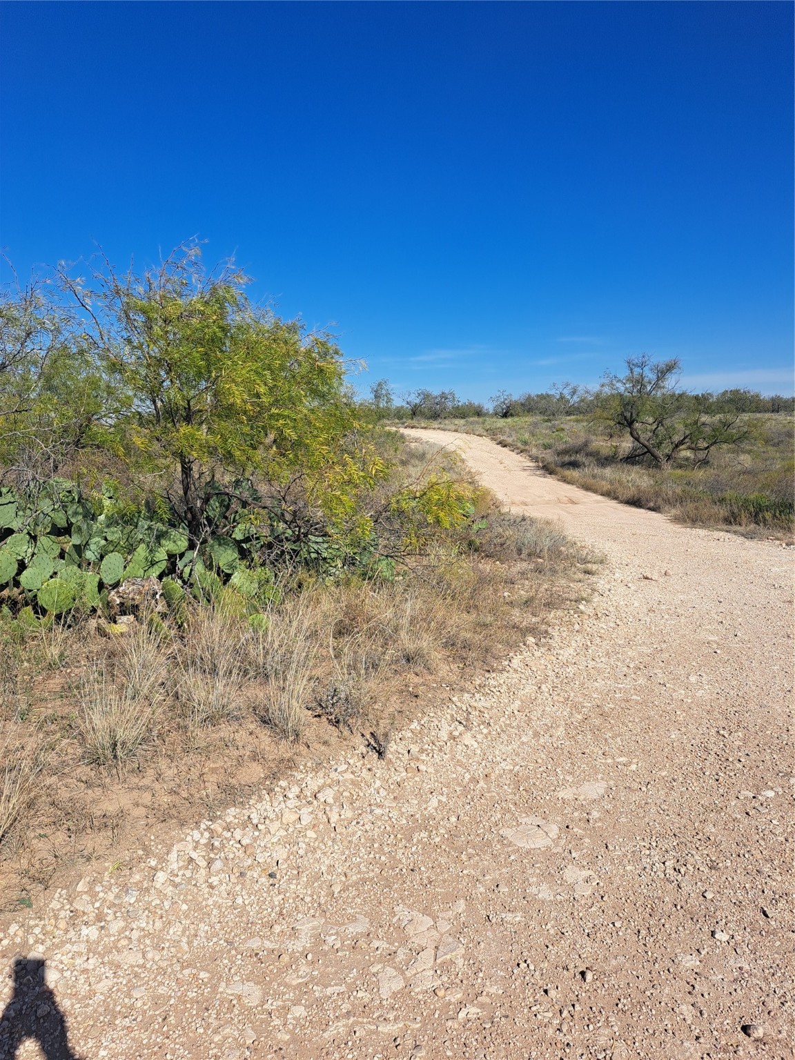 Tbd 140.60 Acres Merkel TX 79536