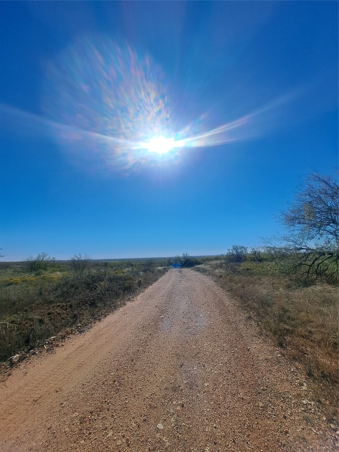 Tbd 140.60 Acres Merkel TX 79536