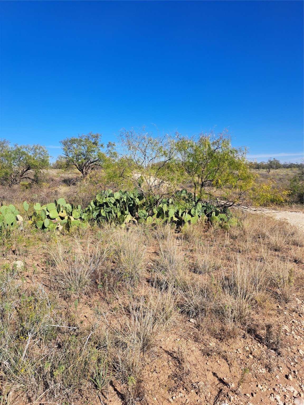 Tbd 140.60 Acres Merkel TX 79536