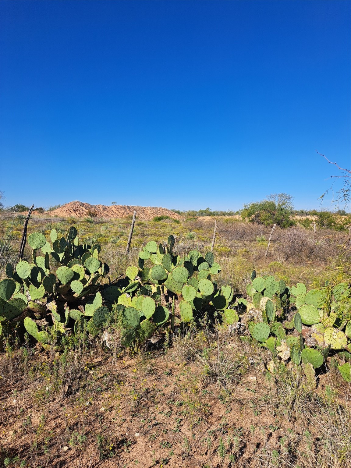 Tbd 140.60 Acres Merkel TX 79536