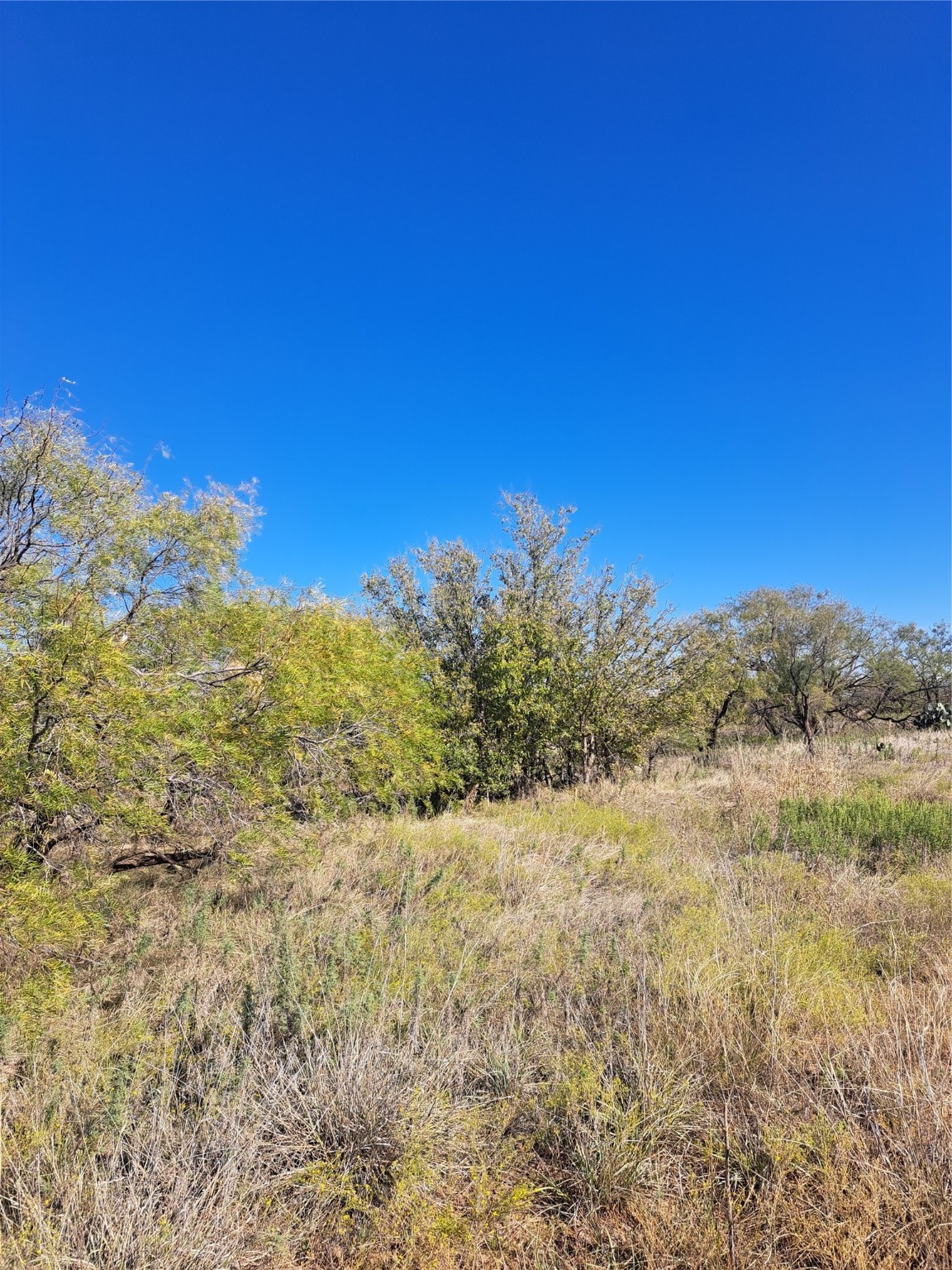 Tbd 140.60 Acres Merkel TX 79536