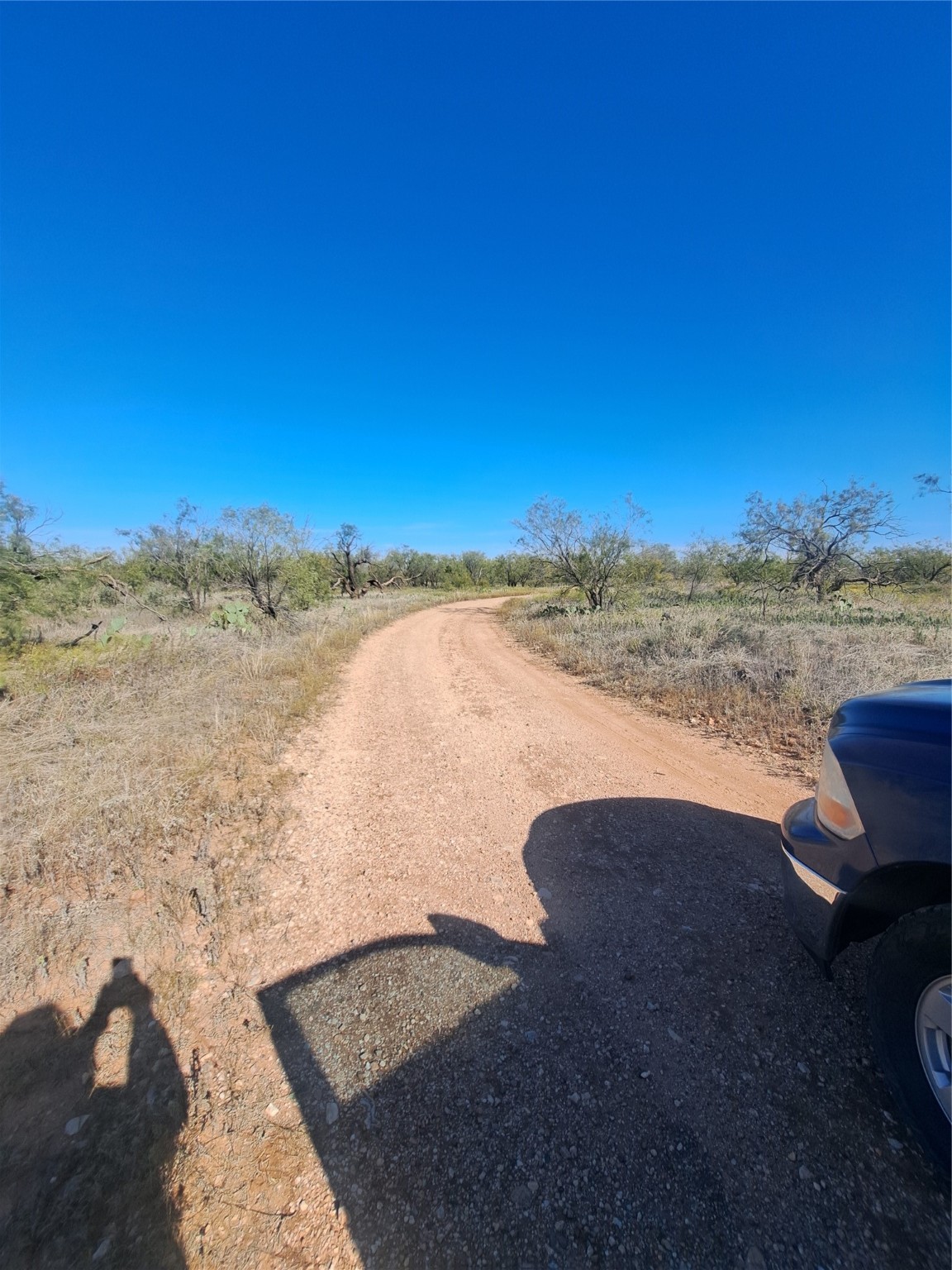 Tbd 140.60 Acres Merkel TX 79536