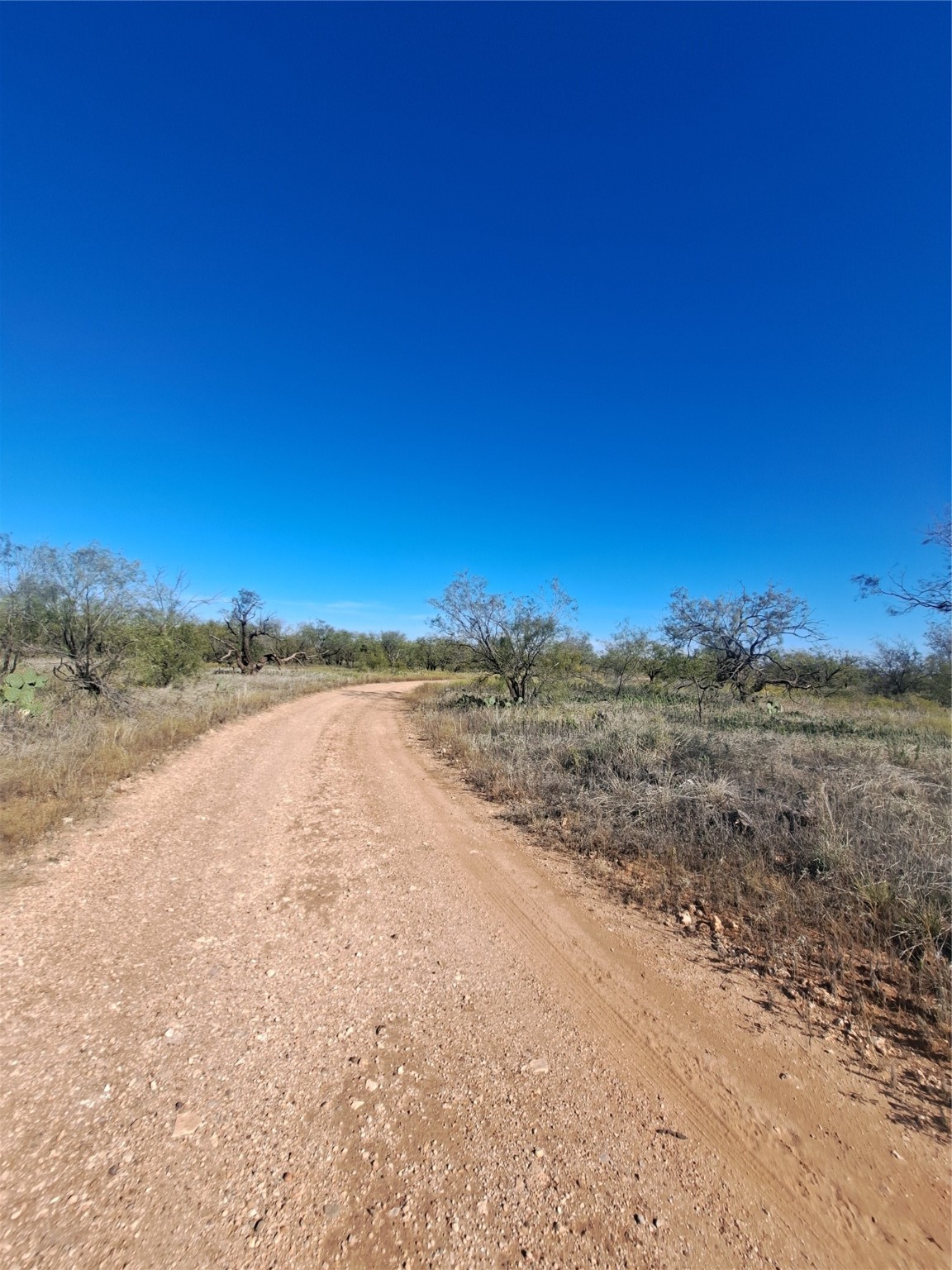 Tbd 140.60 Acres Merkel TX 79536