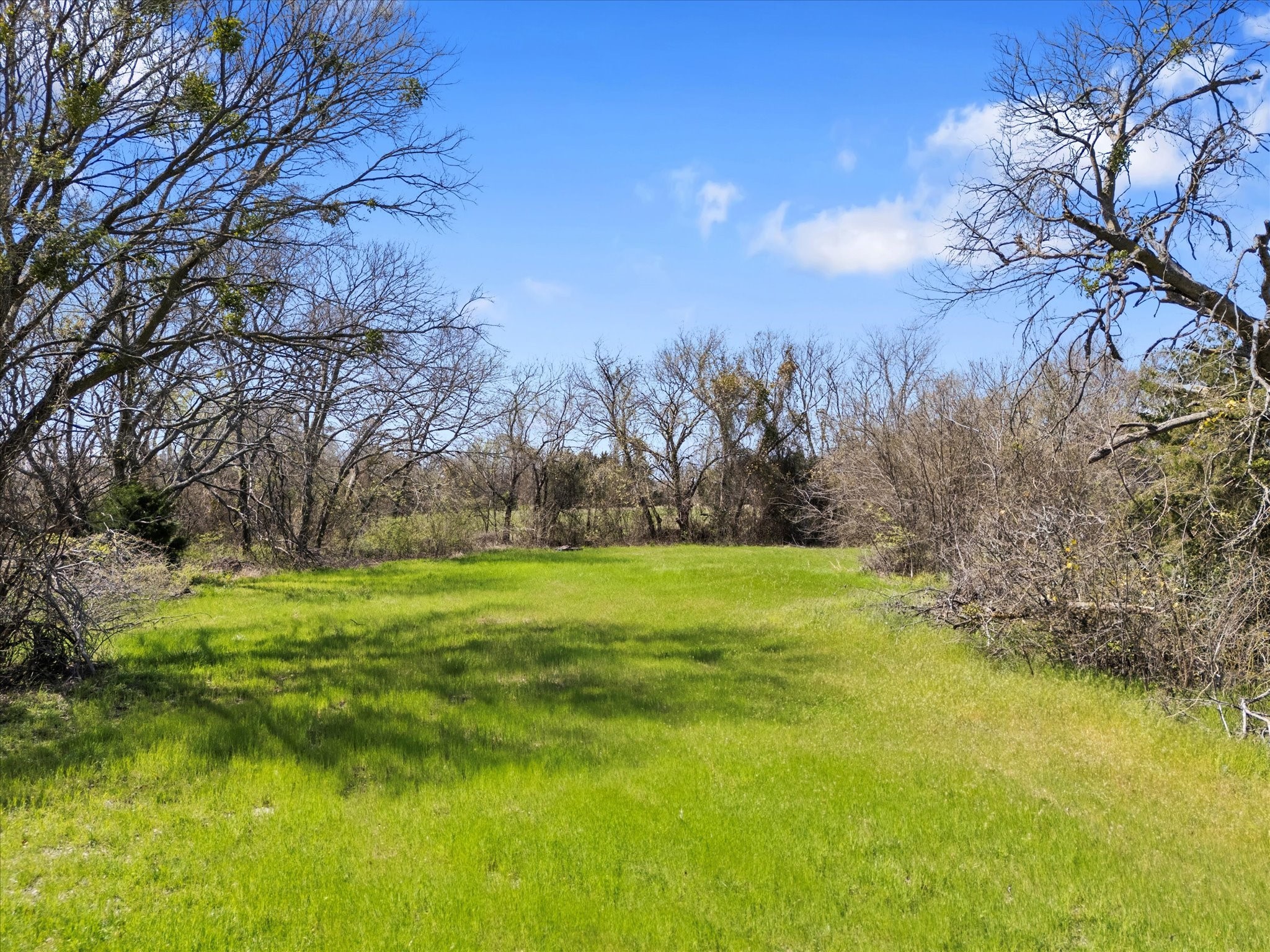 6409 Chiesa Road Rowlett TX 75089
