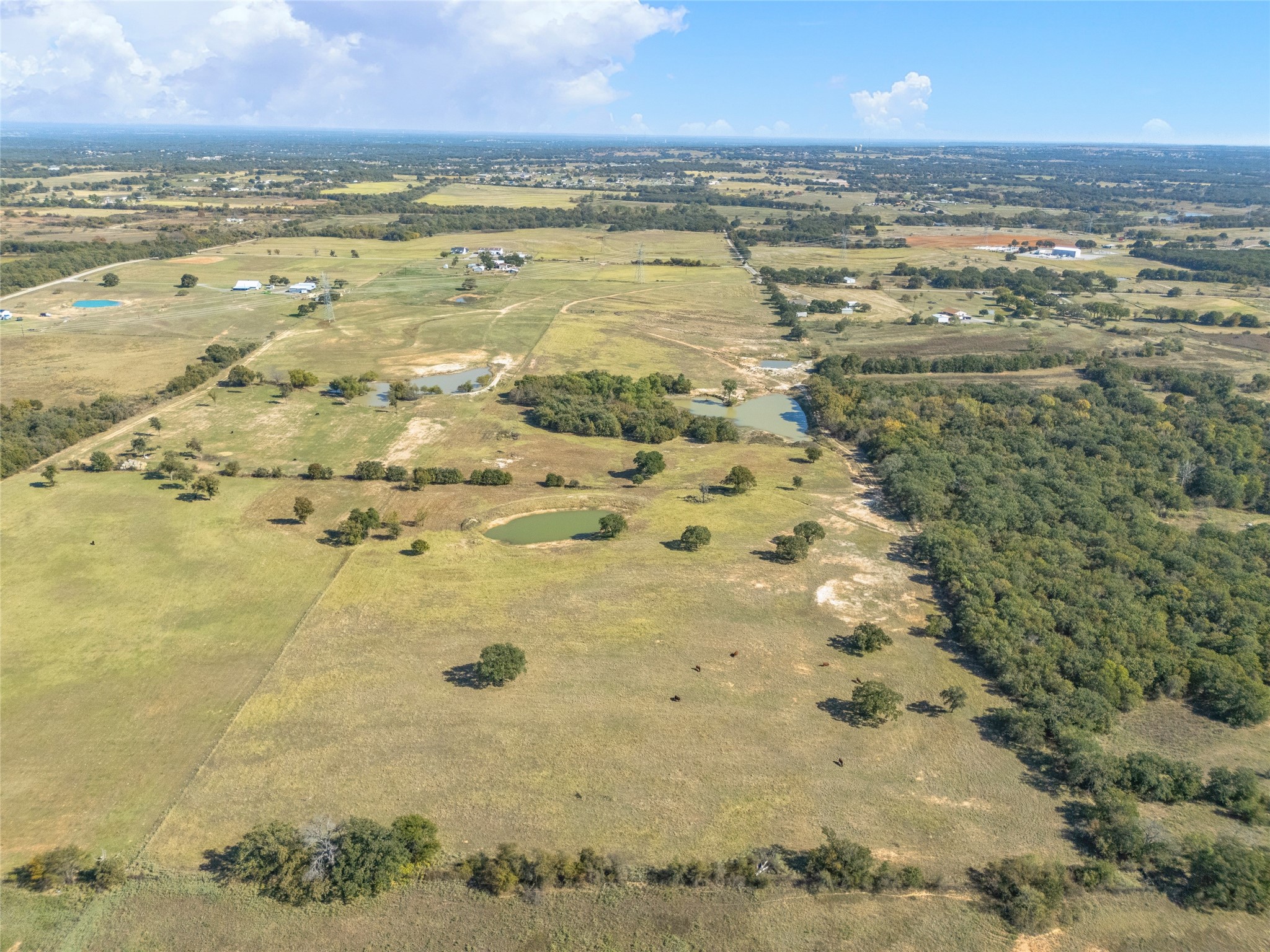 1120 Clover Drive Poolville TX 76487