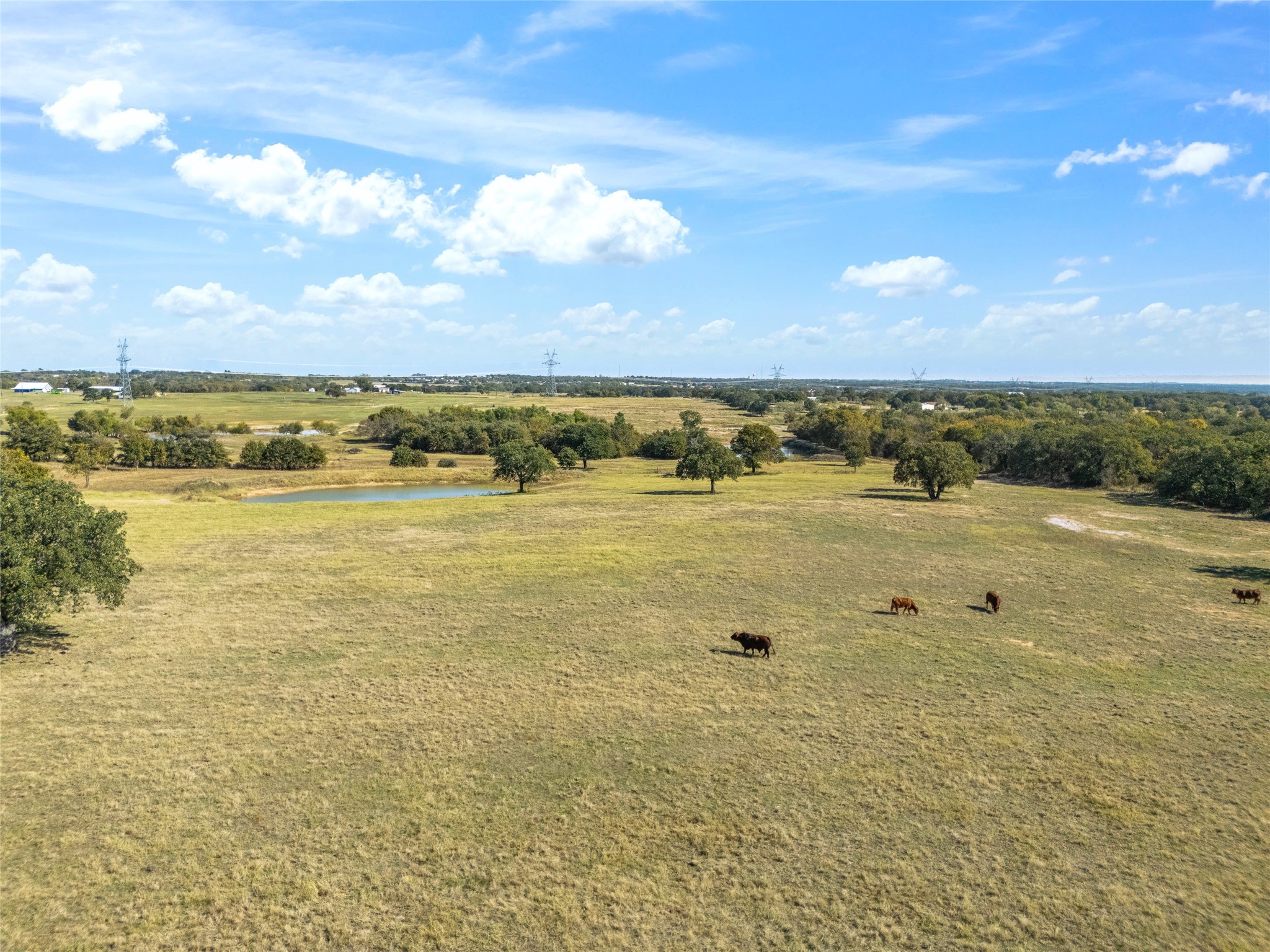 1120 Clover Drive Poolville TX 76487