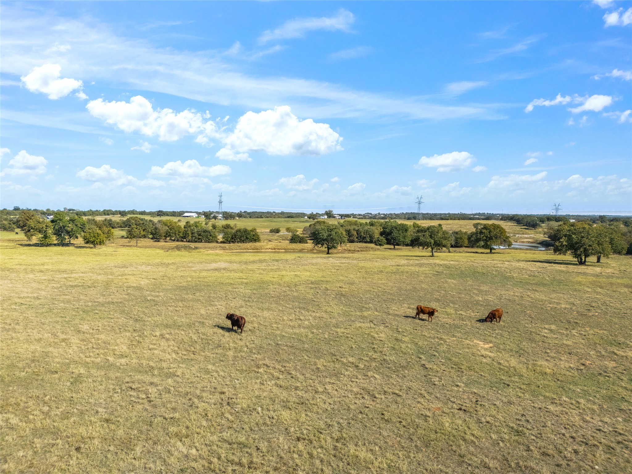 1120 Clover Drive Poolville TX 76487