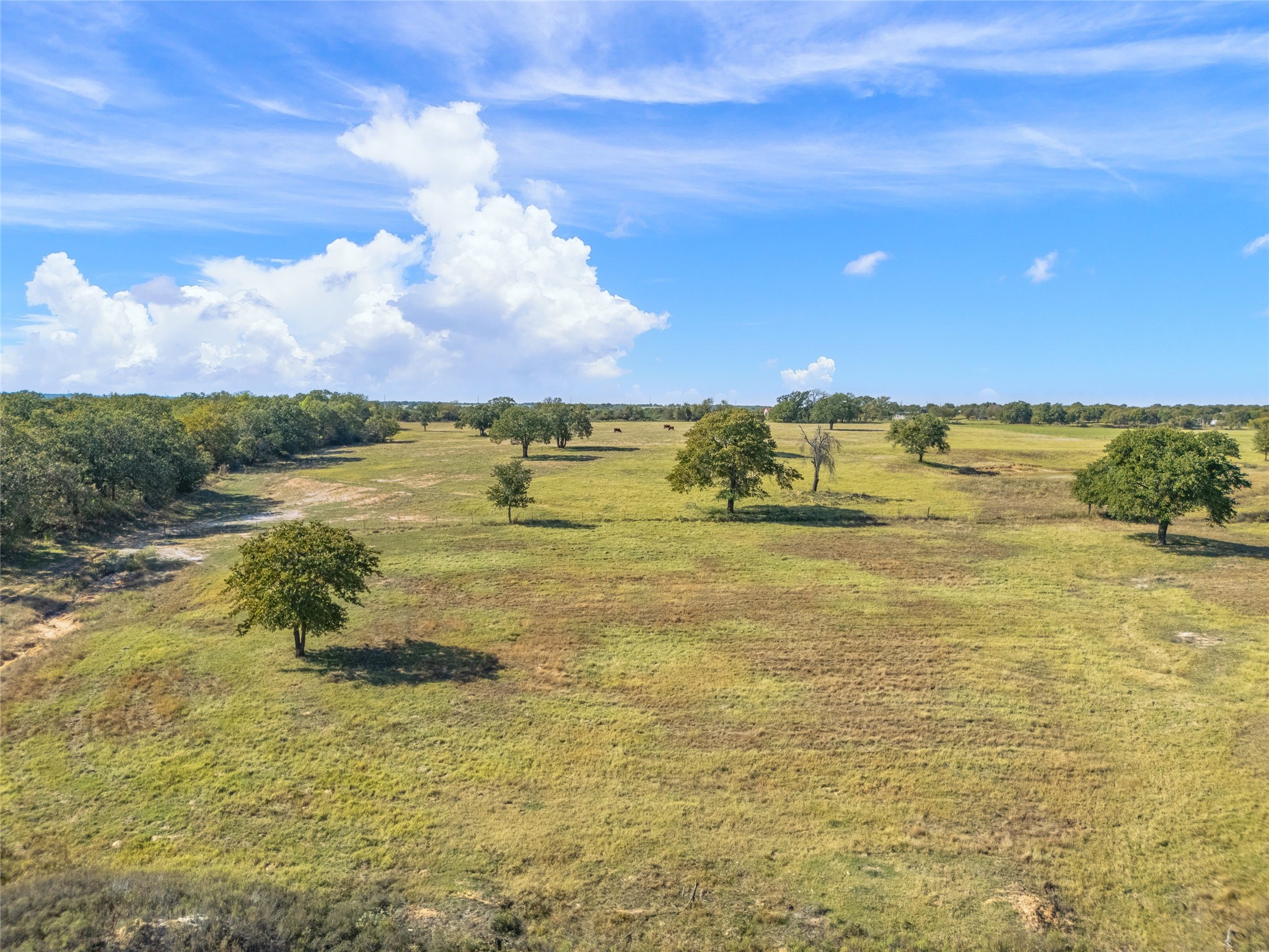 1120 Clover Drive Poolville TX 76487
