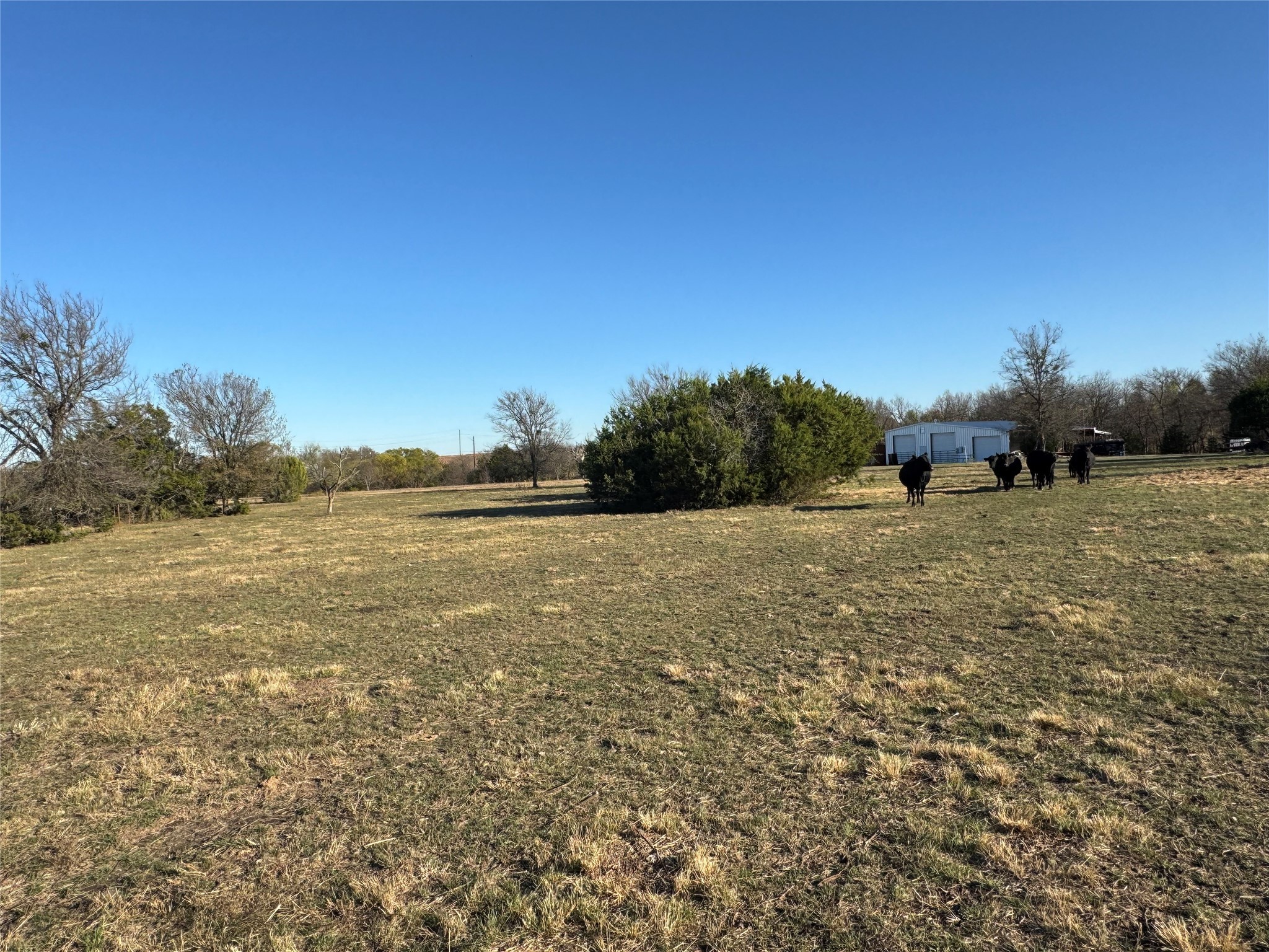 2676 Kelly Road Aledo TX 76008