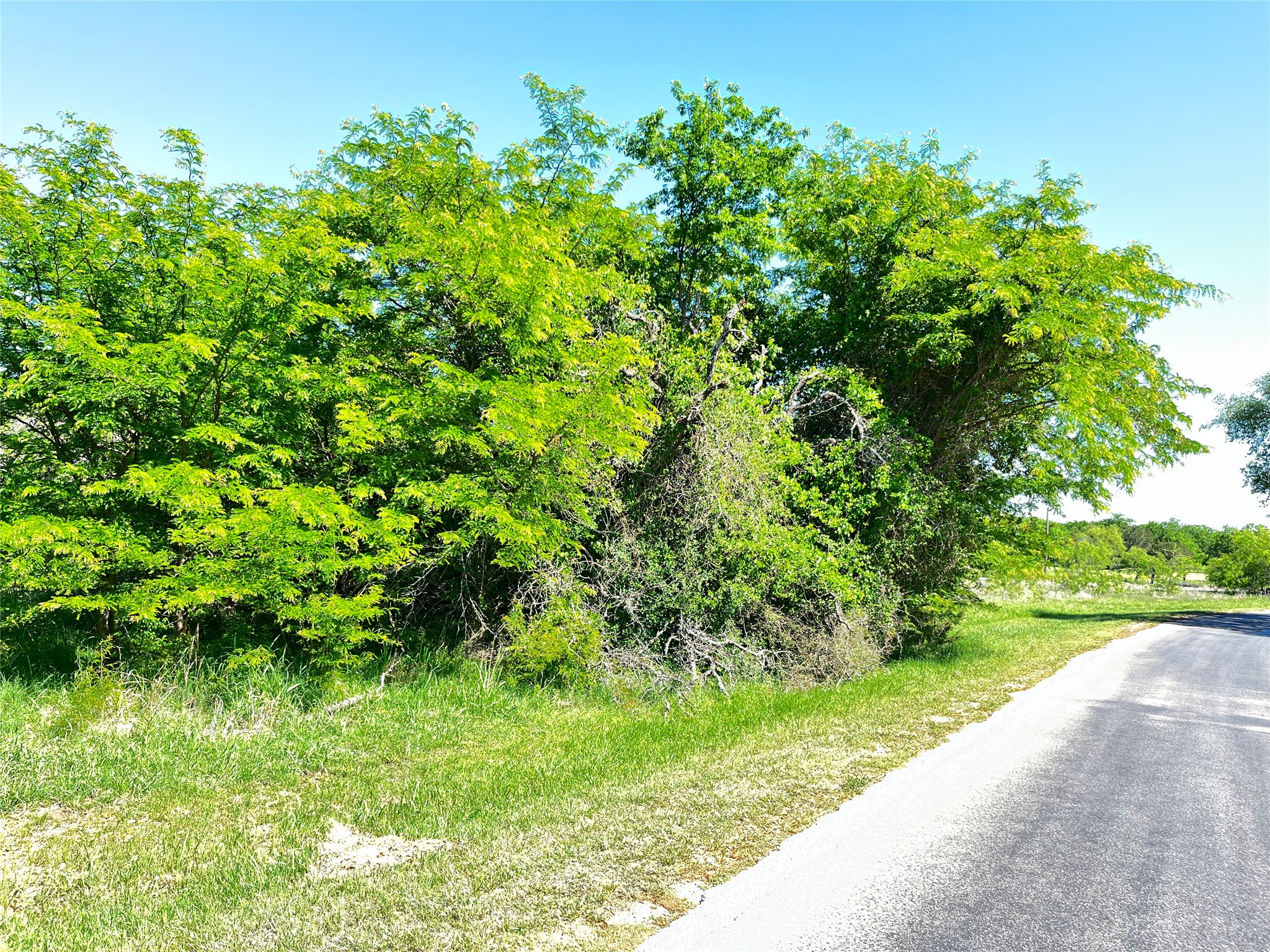 35044 Oak Wood Drive Whitney TX 76692