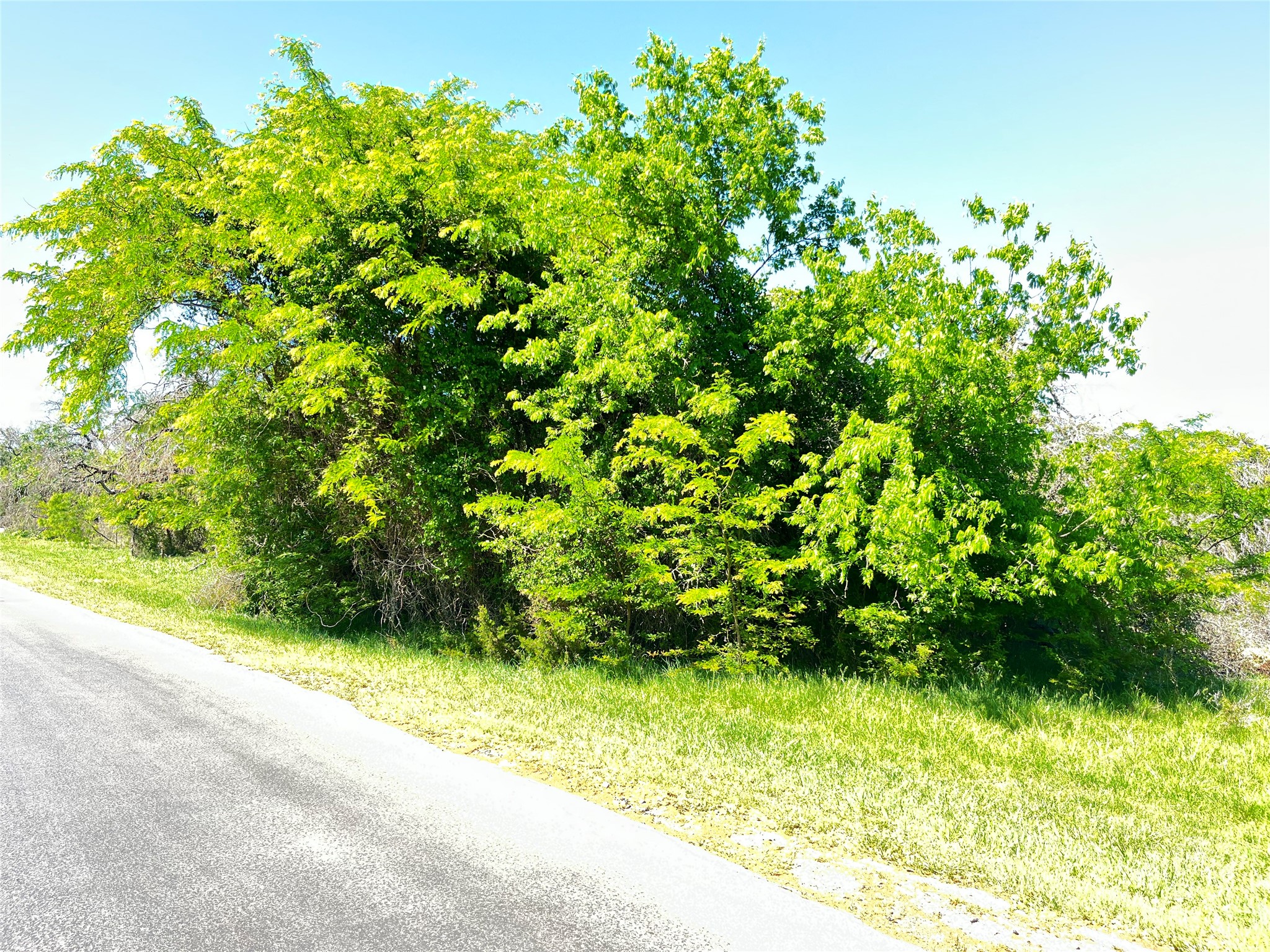 35044 Oak Wood Drive Whitney TX 76692