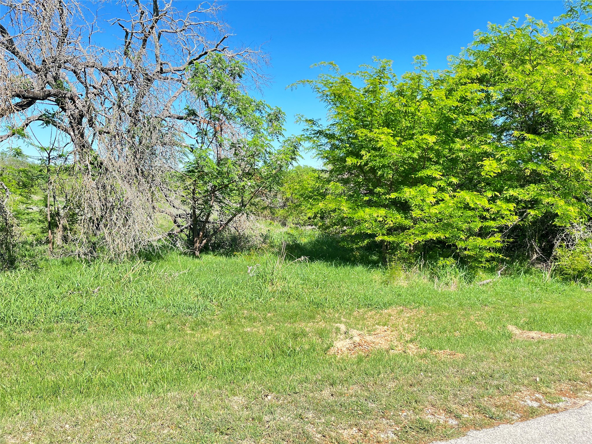 35044 Oak Wood Drive Whitney TX 76692