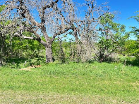 35044 Oak Wood Drive Whitney TX 76692