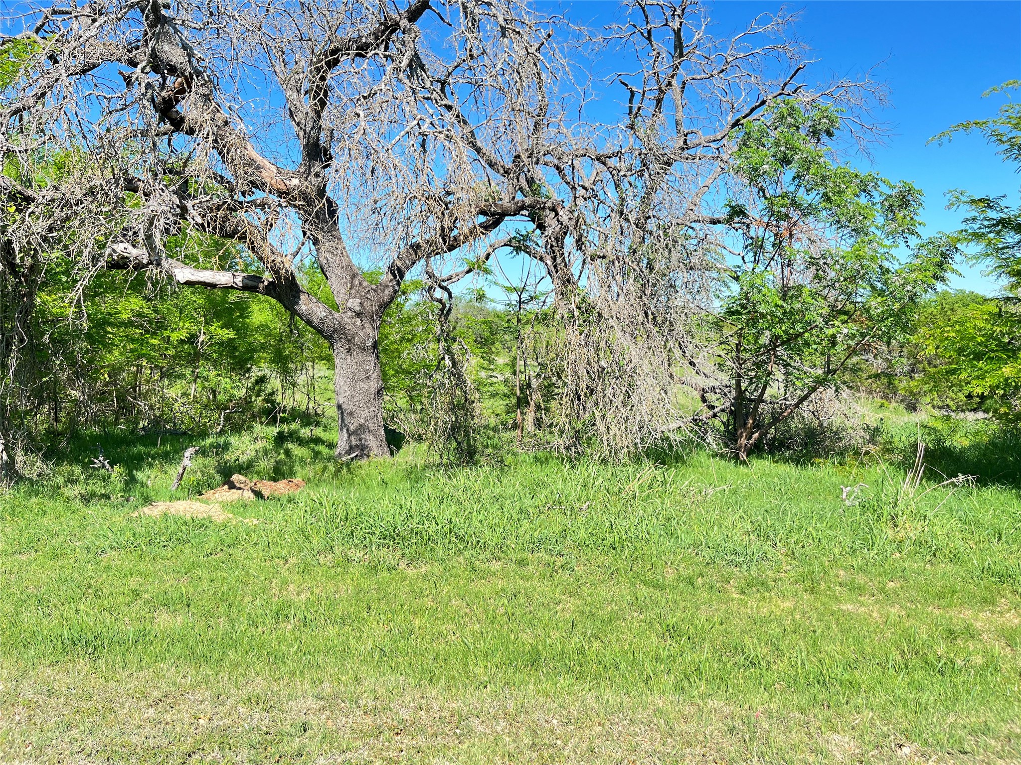 35044 Oak Wood Drive Whitney TX 76692
