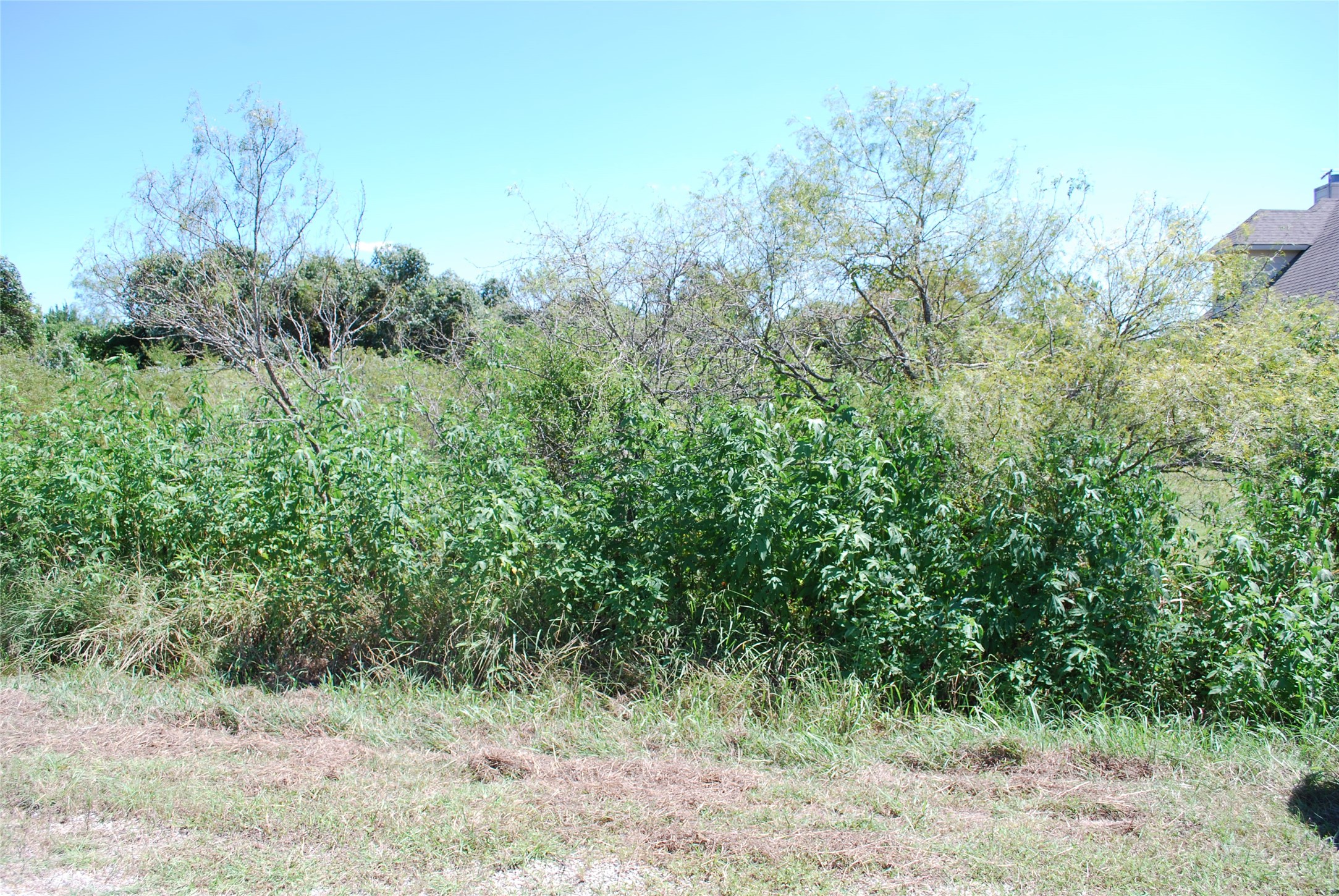 22210 Field Street Whitney TX 76692