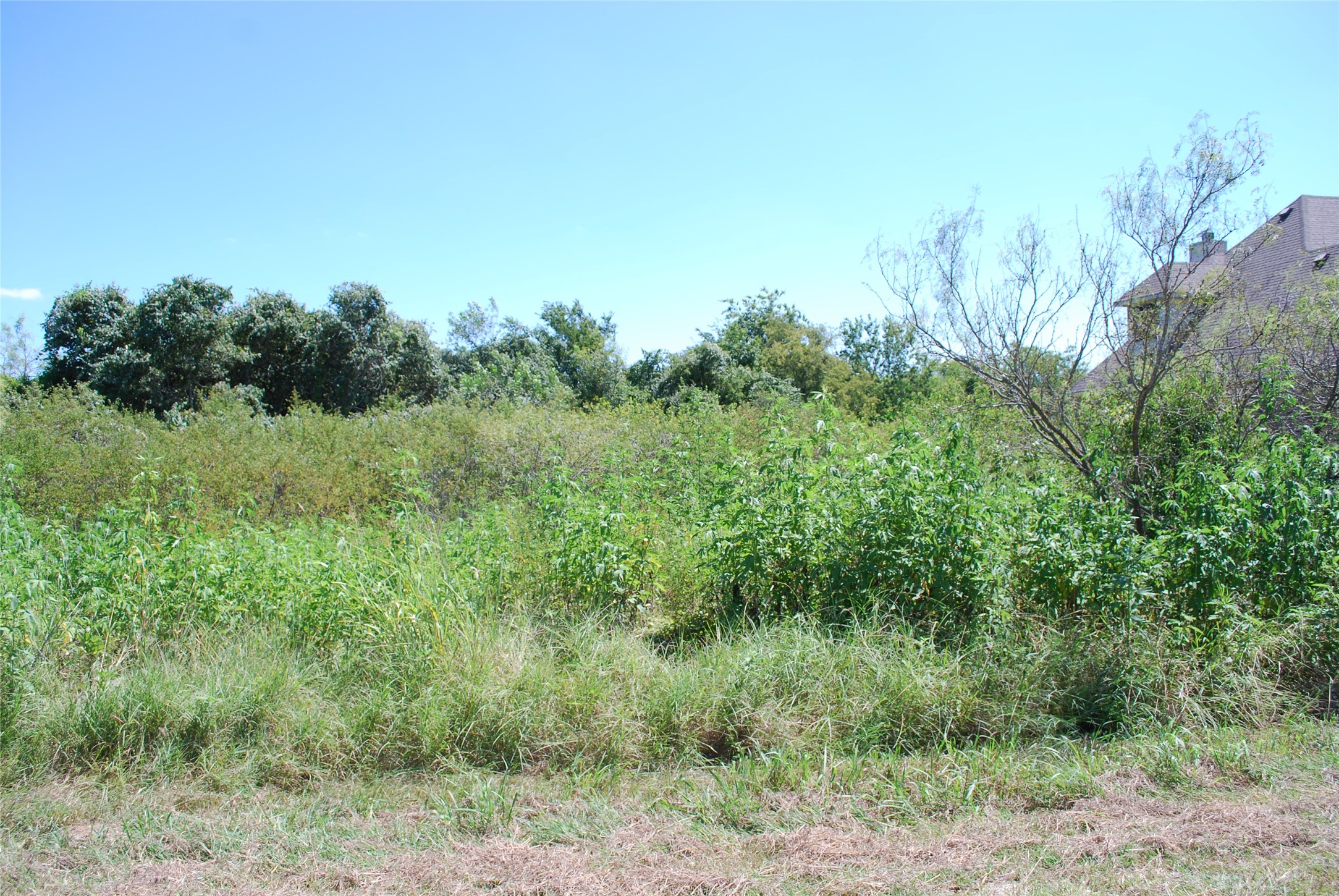 22210 Field Street Whitney TX 76692