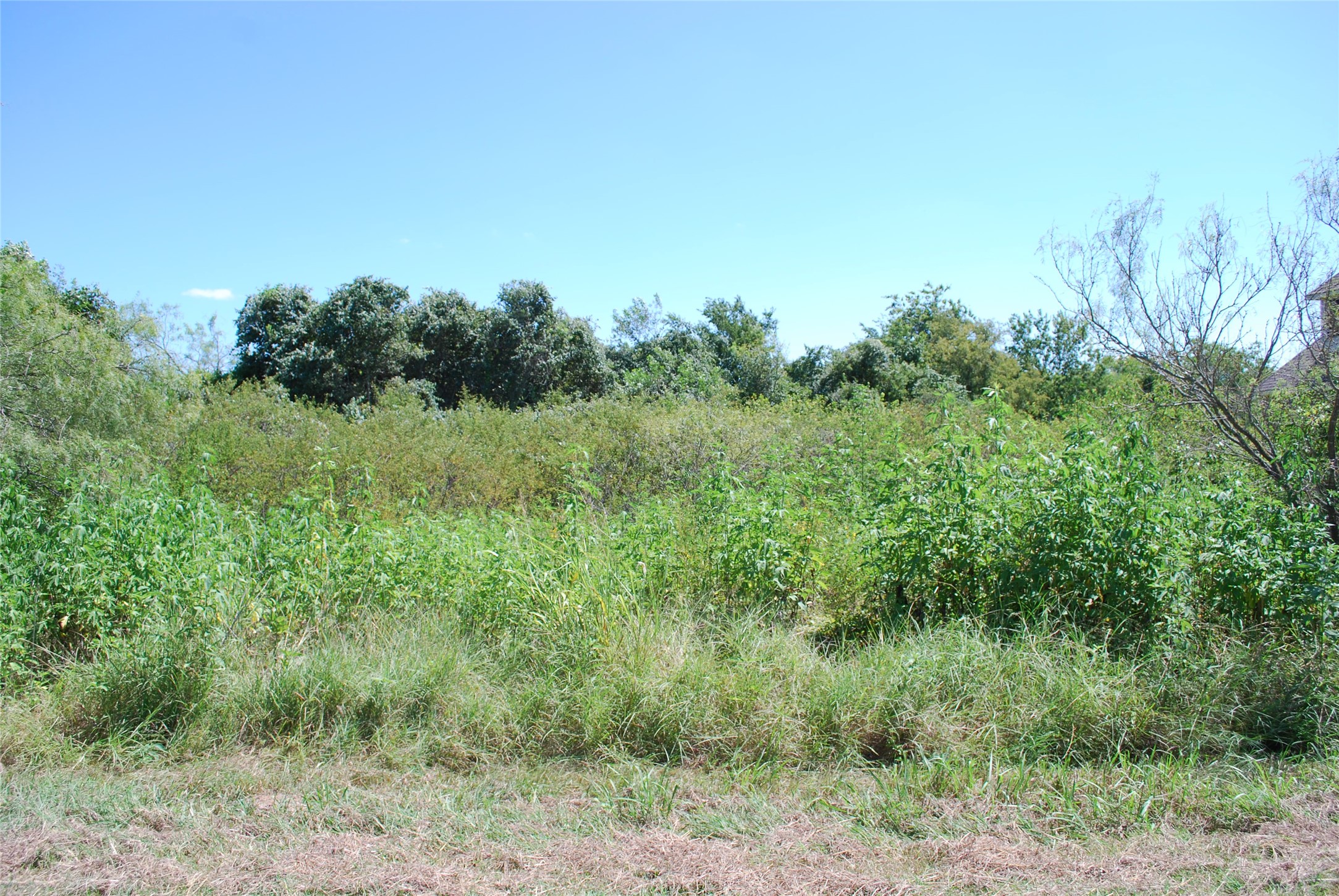 22210 Field Street Whitney TX 76692