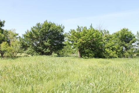 556 County Road 1063 Greenville TX 75401