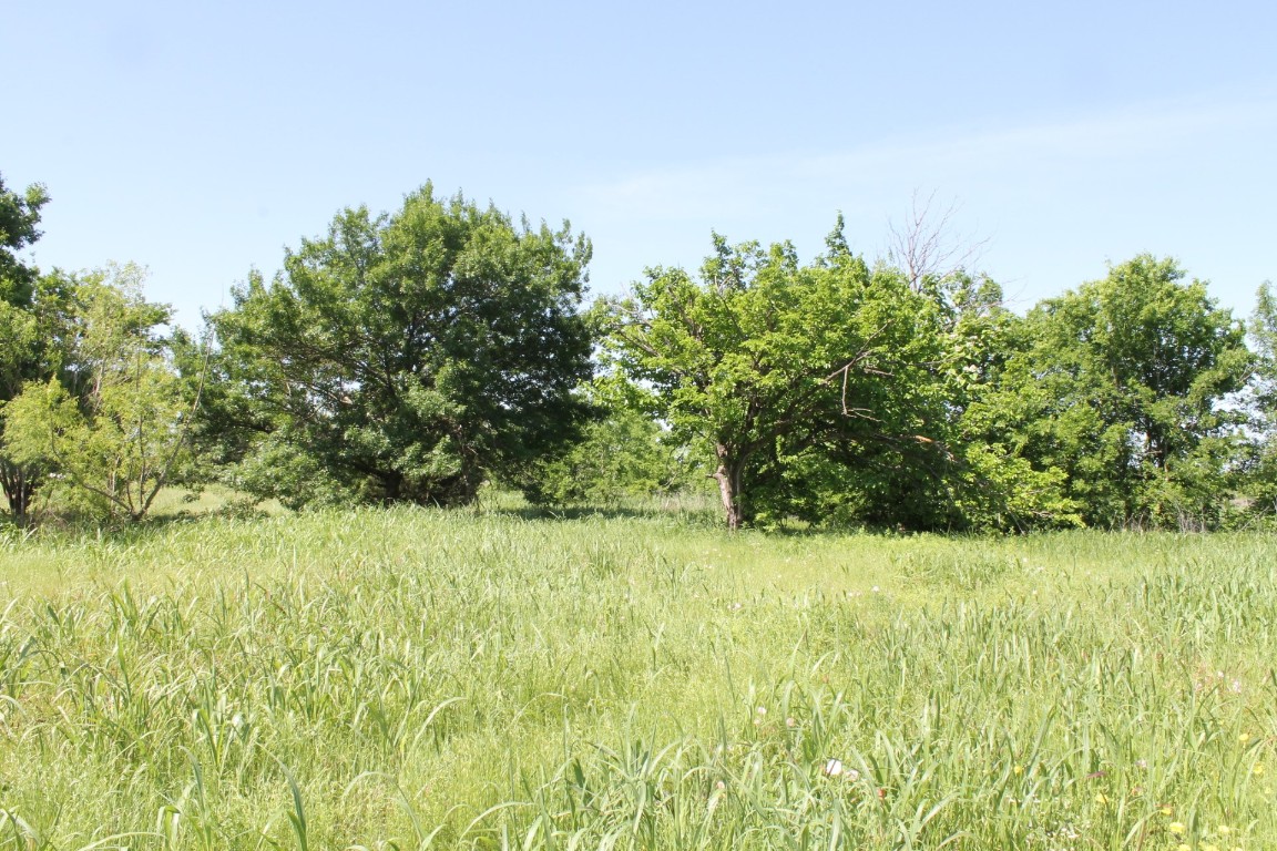 556 County Road 1063 Greenville TX 75401