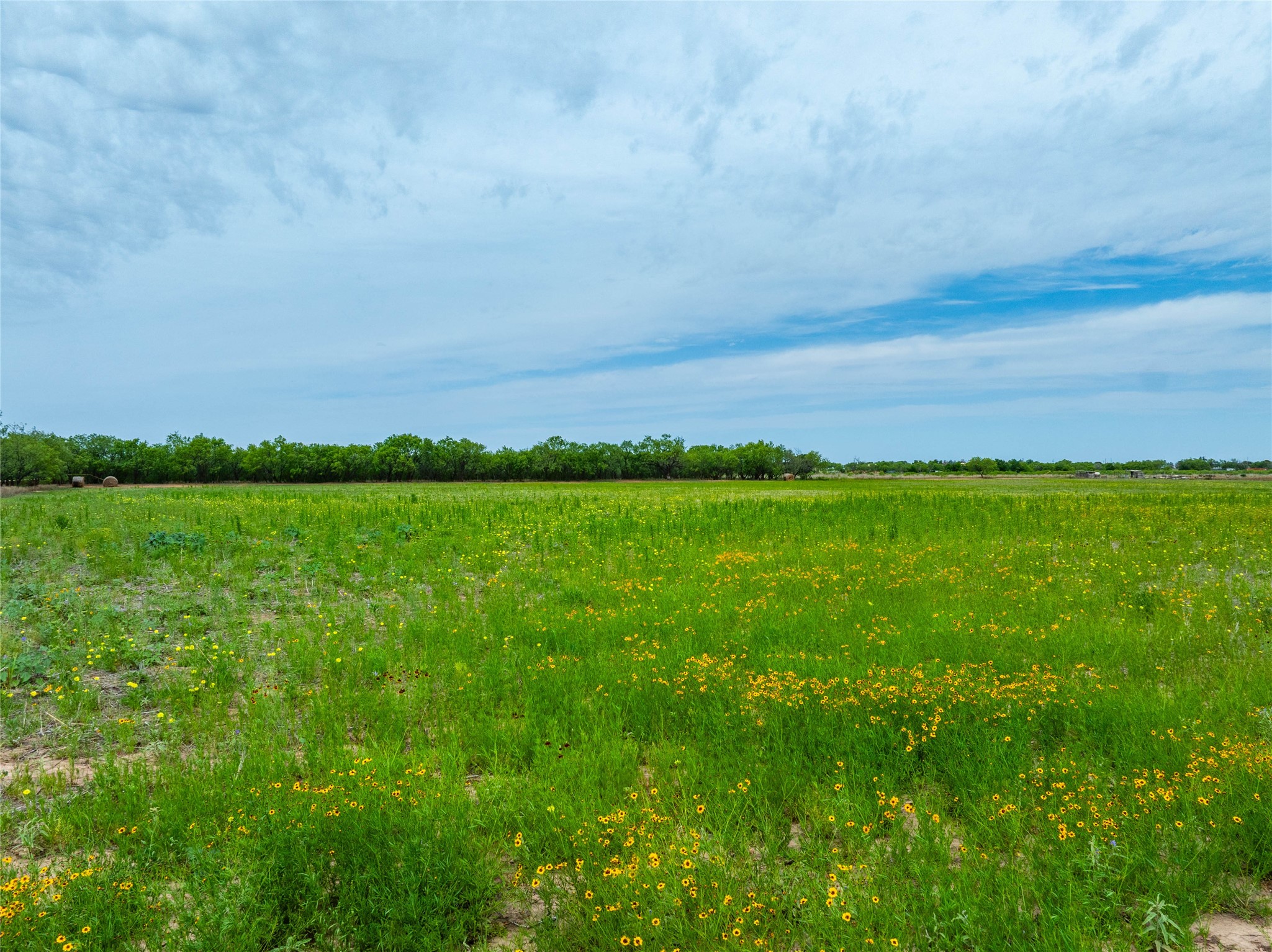 Lot 1 Fm 2404 Hawley TX 79525