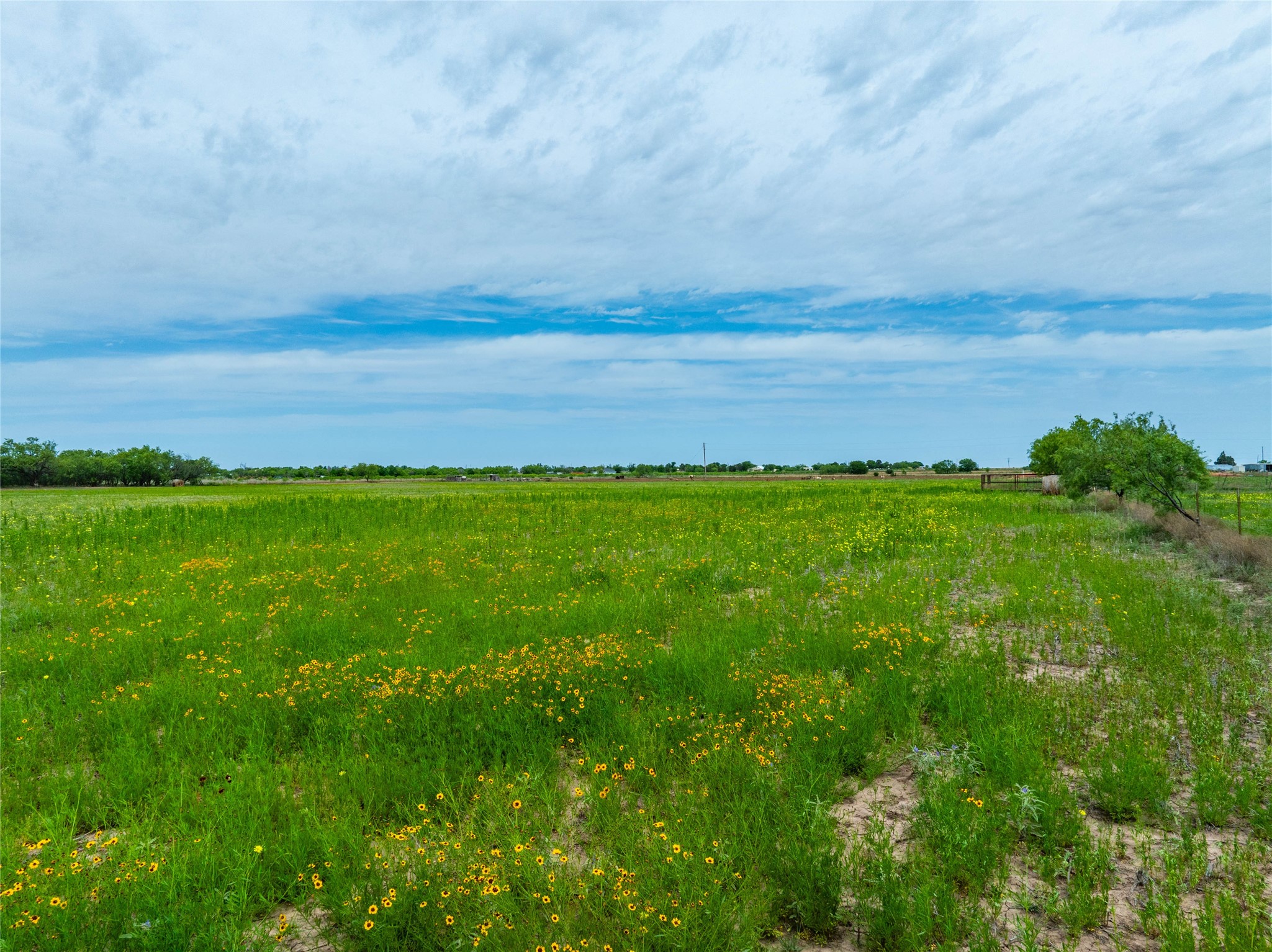 Lot 1 Fm 2404 Hawley TX 79525