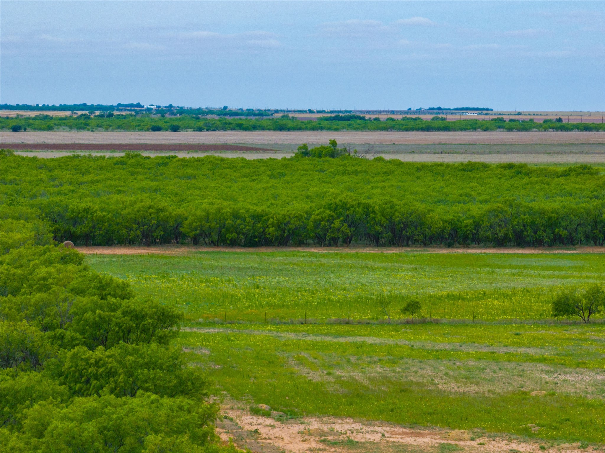 Lot 1 Fm 2404 Hawley TX 79525