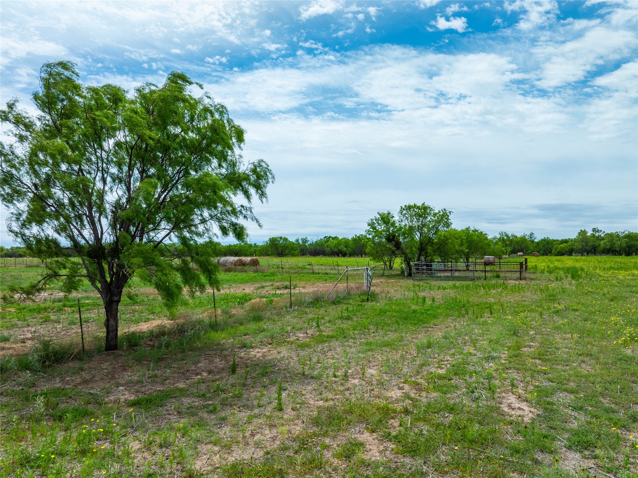 Lot 1 Fm 2404 Hawley TX 79525
