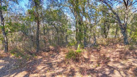 Lot 14 Bordeaux Lane Corsicana TX 75109
