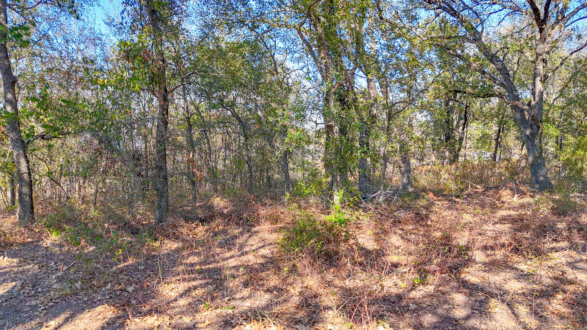 Lot 14 Bordeaux Lane Corsicana TX 75109