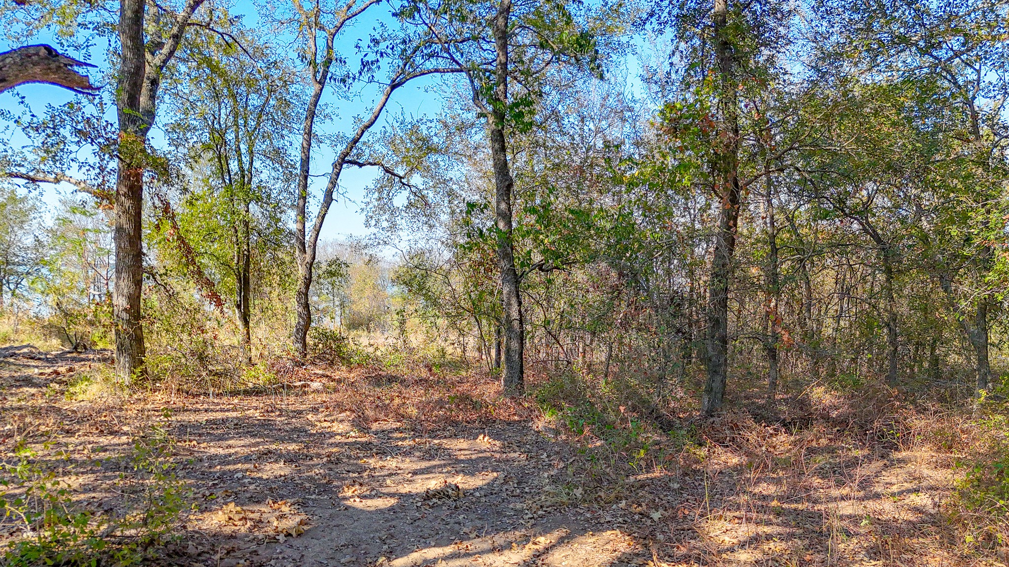 Lot 14 Bordeaux Lane Corsicana TX 75109