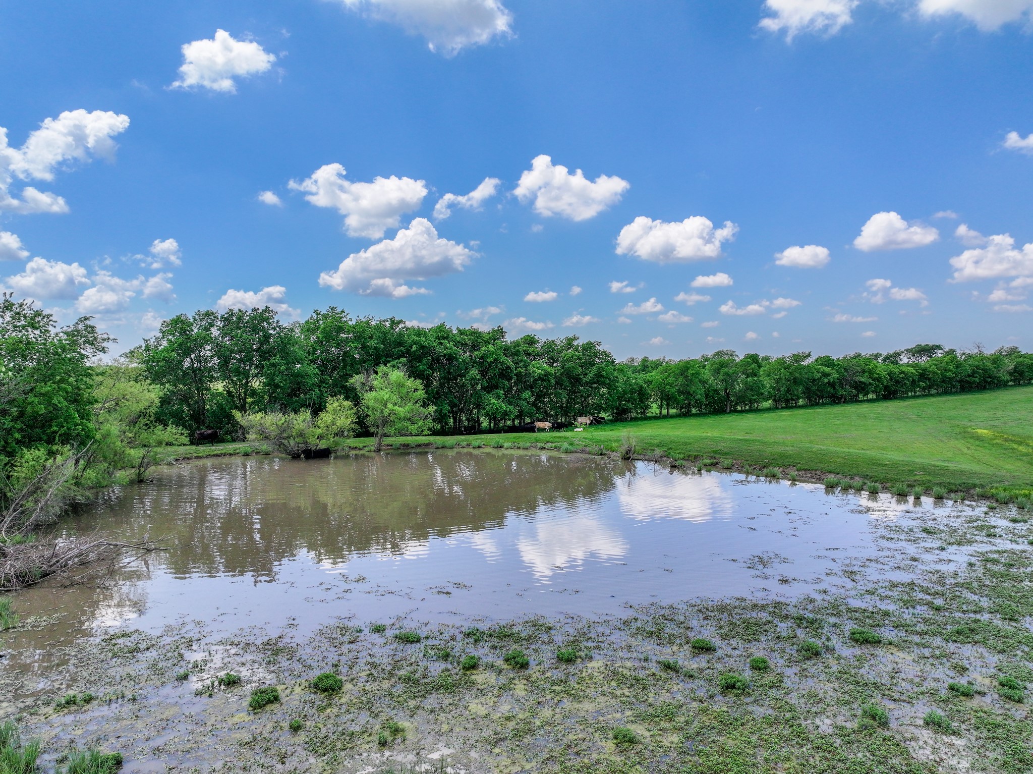 5293 County Road 2515 Royse City TX 75189
