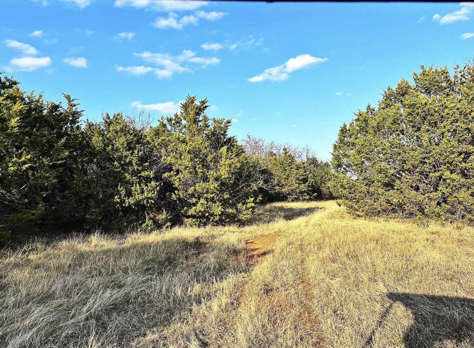16061 County Road 107 Mingus TX 76463