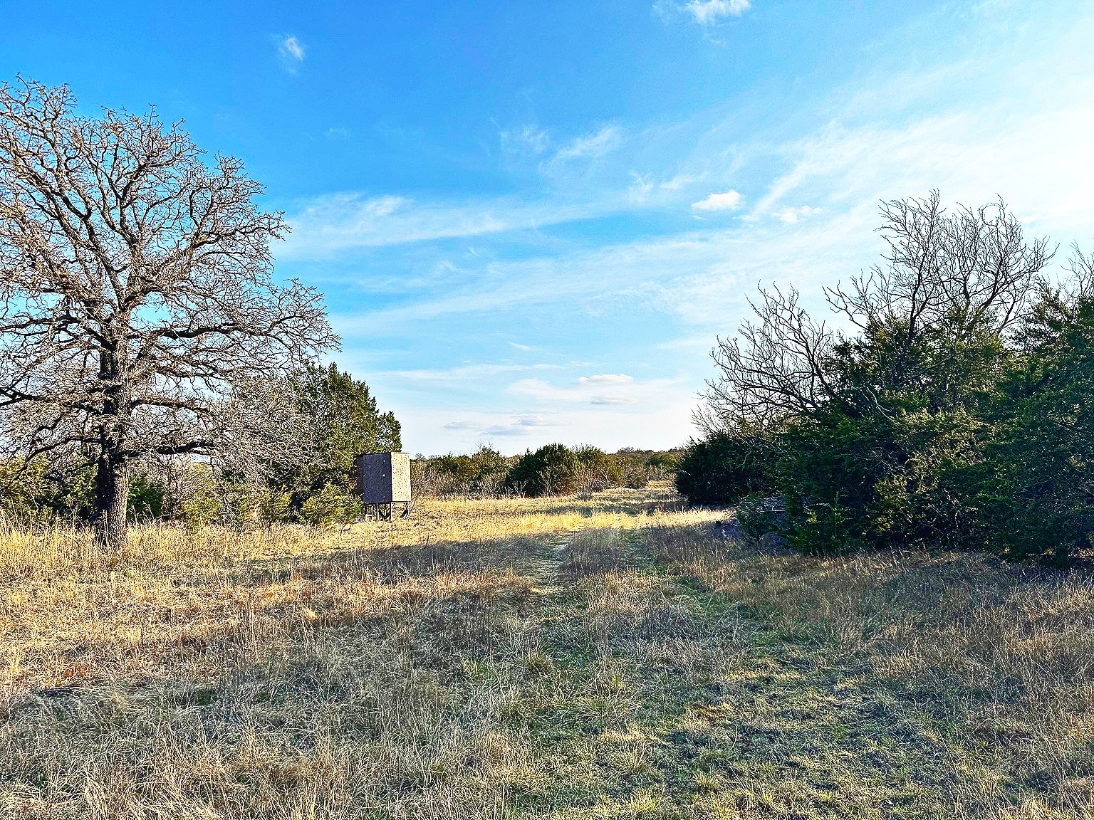 16061 County Road 107 Mingus TX 76463