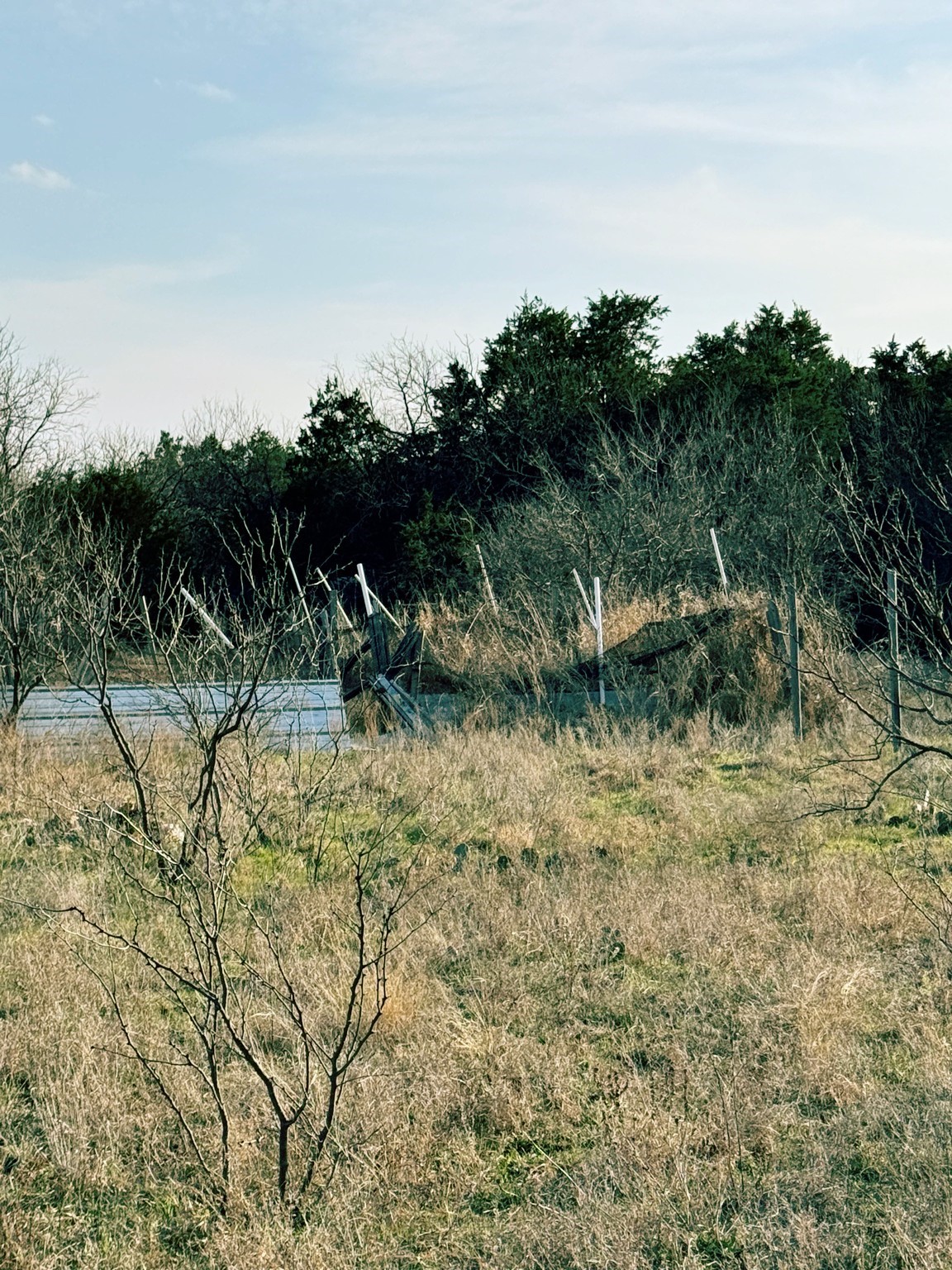 16061 County Road 107 Mingus TX 76463