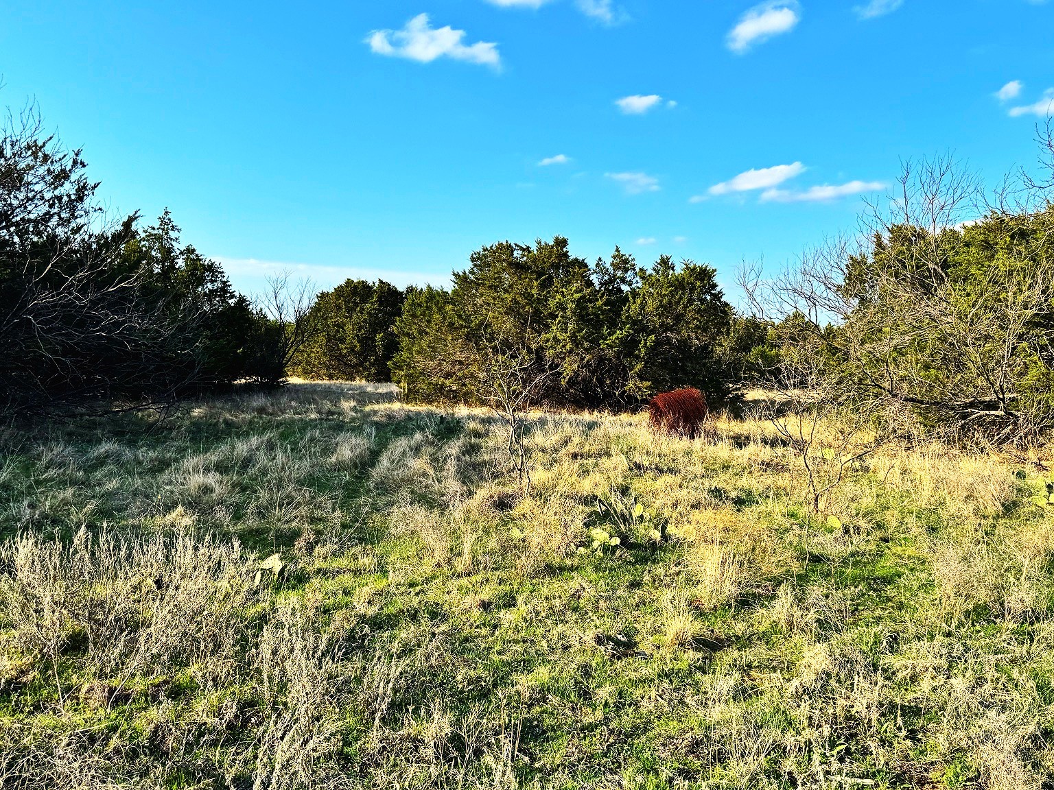 16061 County Road 107 Mingus TX 76463