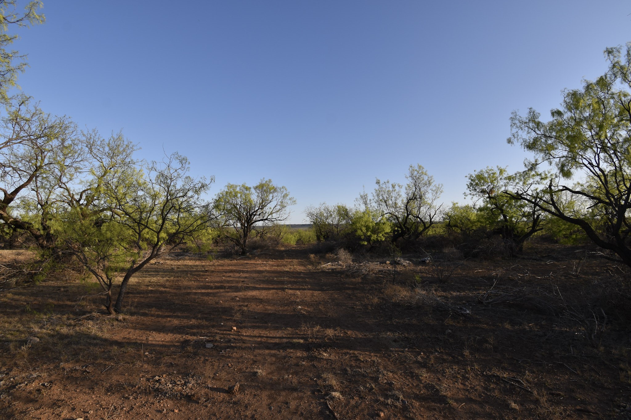 000 Cr 340 Lohn TX 76852