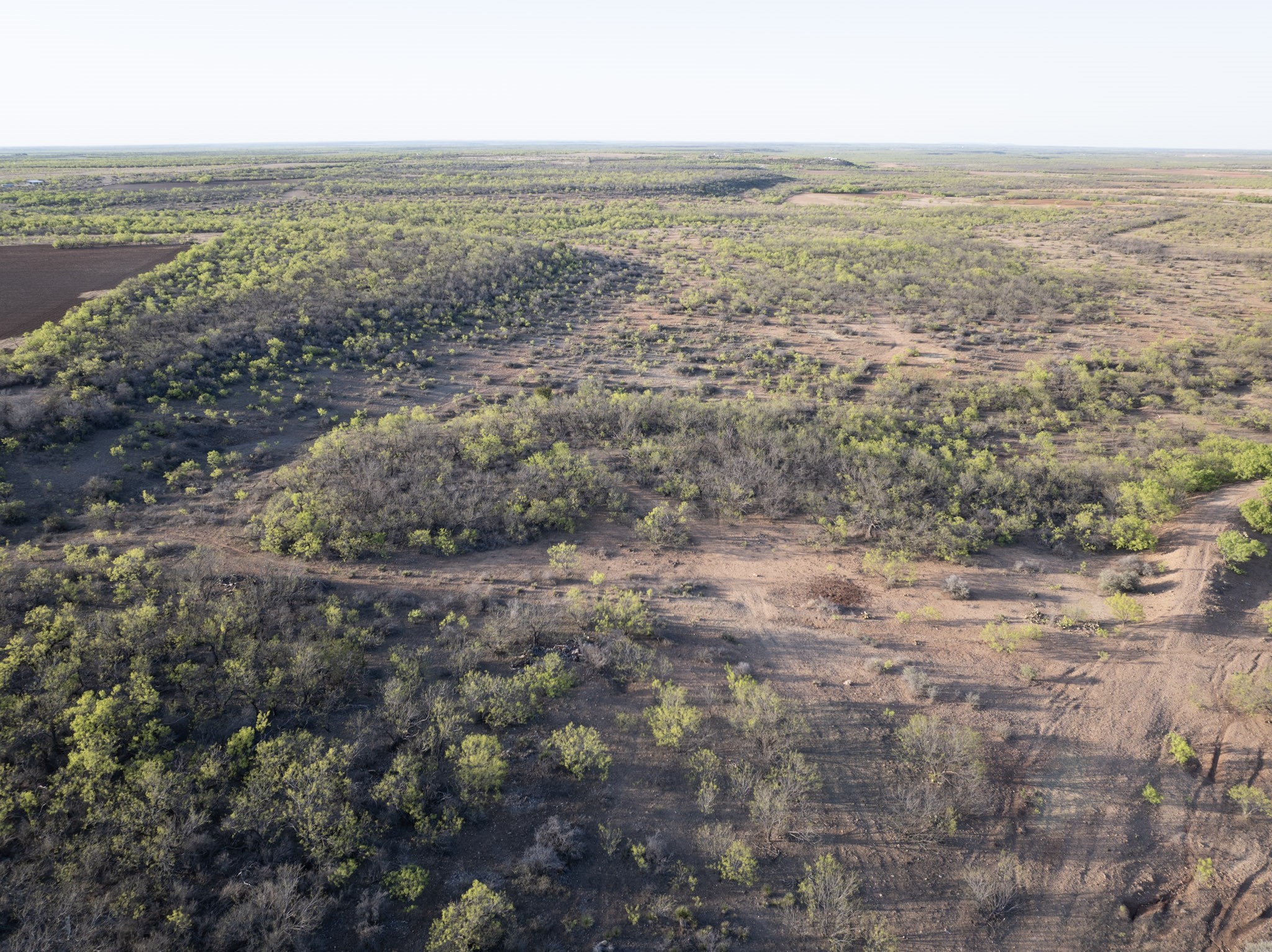000 Cr 340 Lohn TX 76852