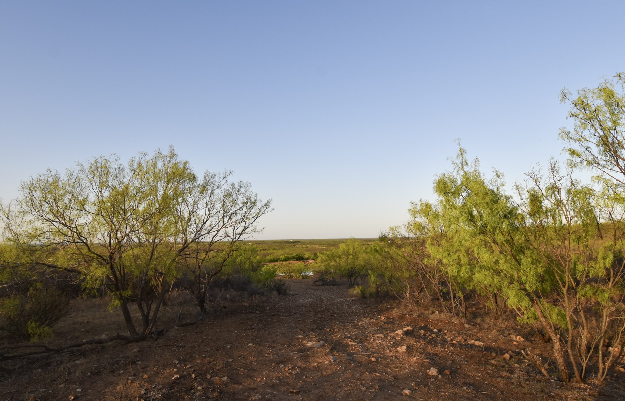 000 Cr 340 Lohn TX 76852