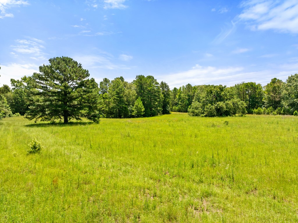 5353 Cr 385 Tyler TX 75708