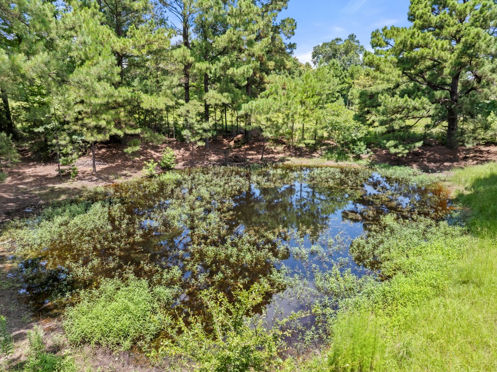 5353 Cr 385 Tyler TX 75708