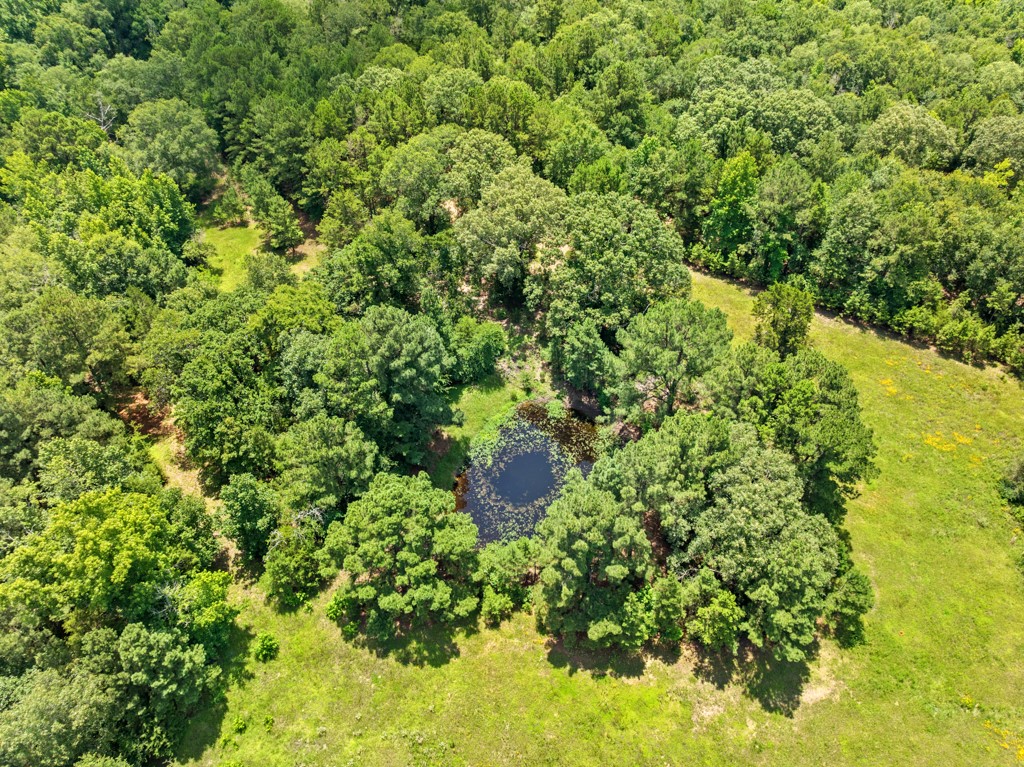 5353 Cr 385 Tyler TX 75708