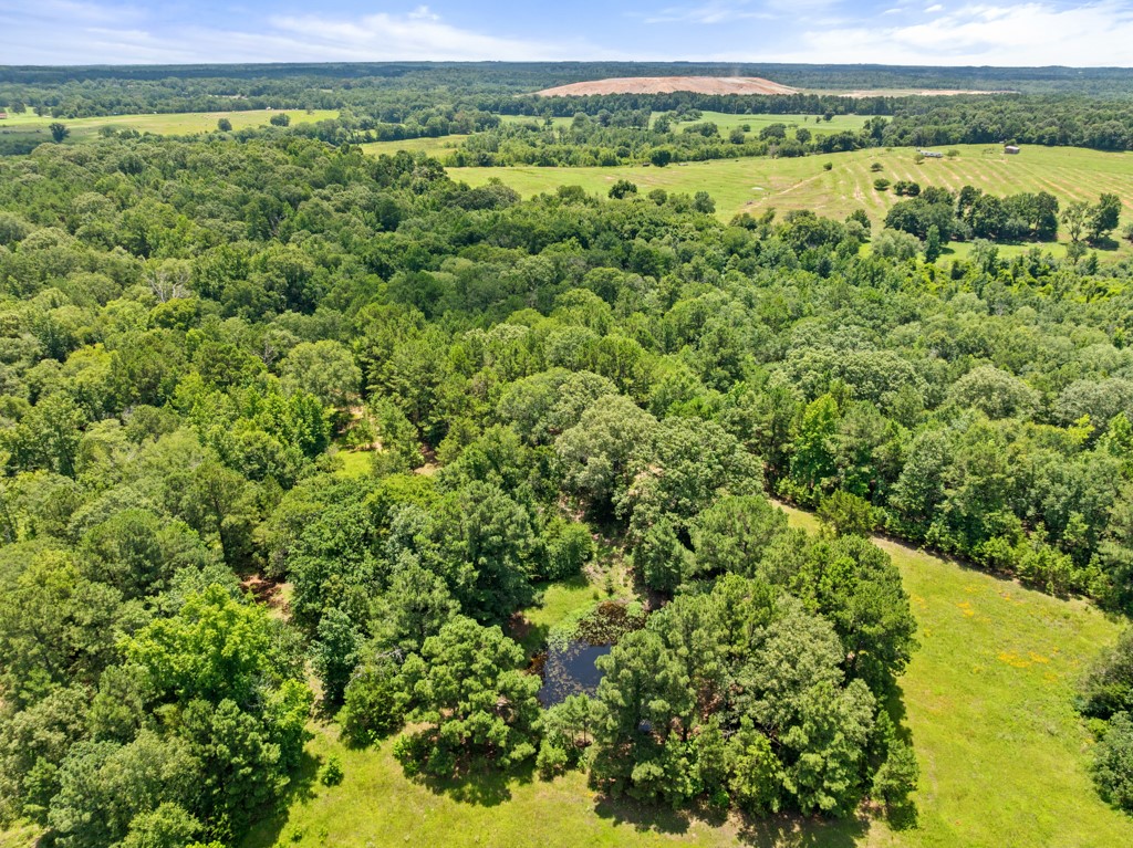 5353 Cr 385 Tyler TX 75708
