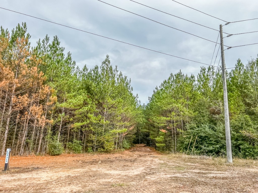 013 Cr 2307 Cleveland TX 77327
